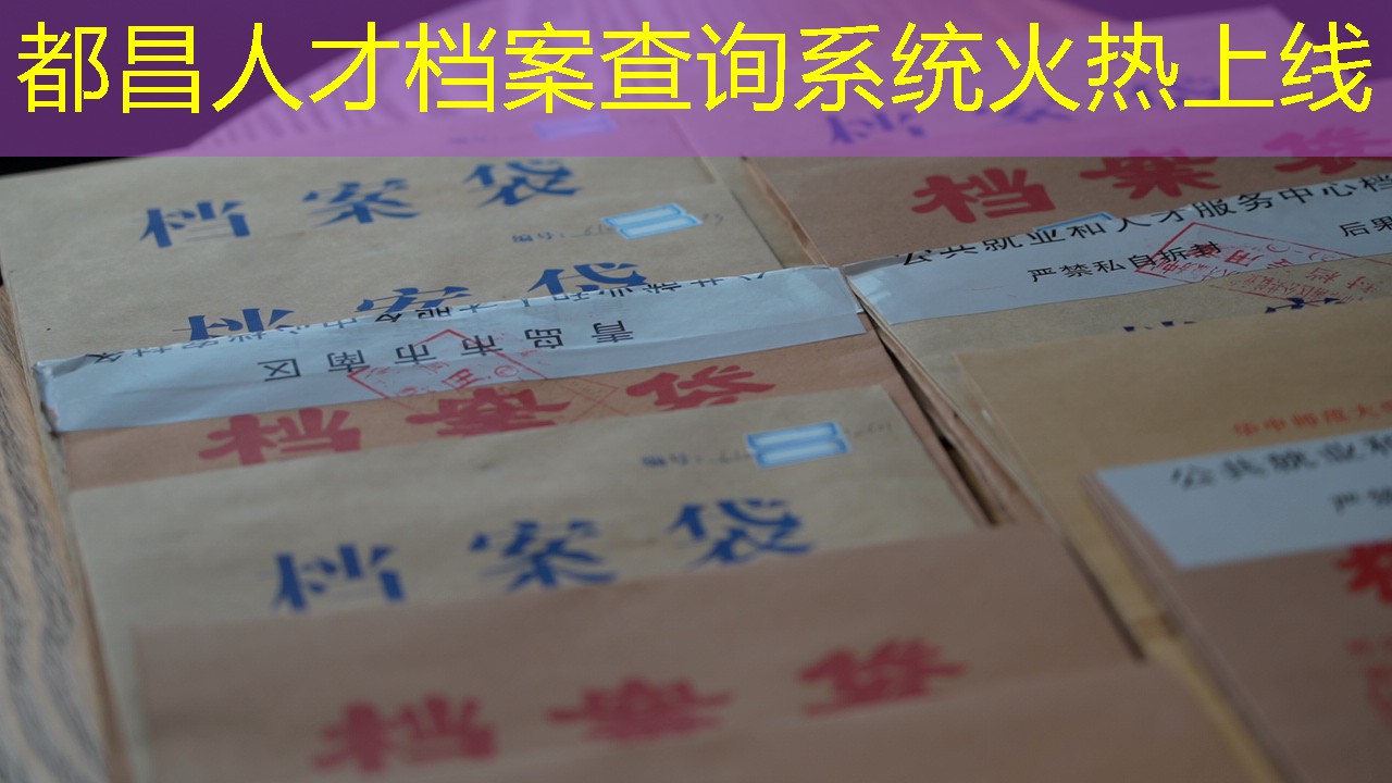 档案查询