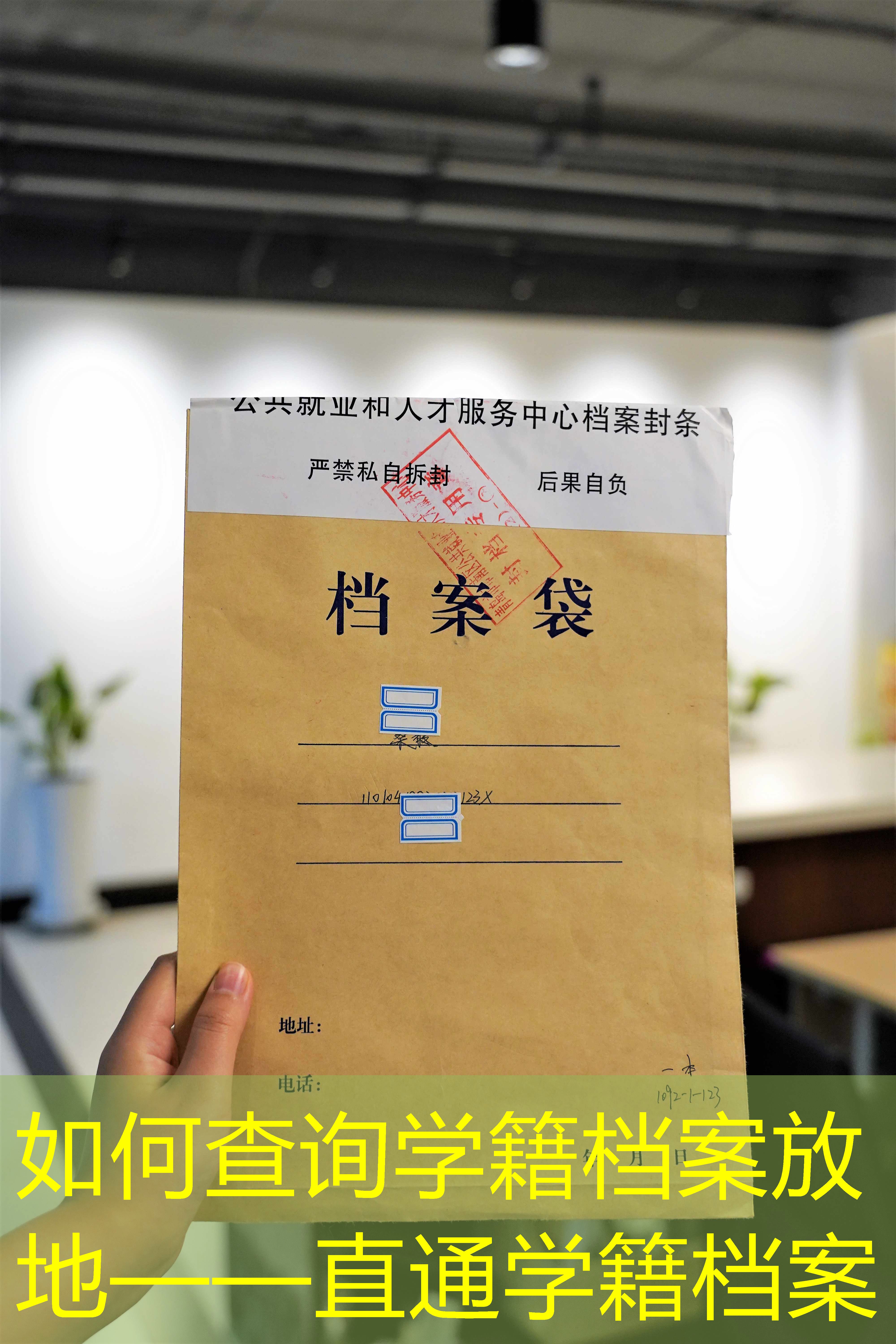 档案查询