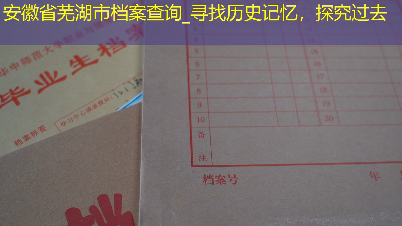 档案查询