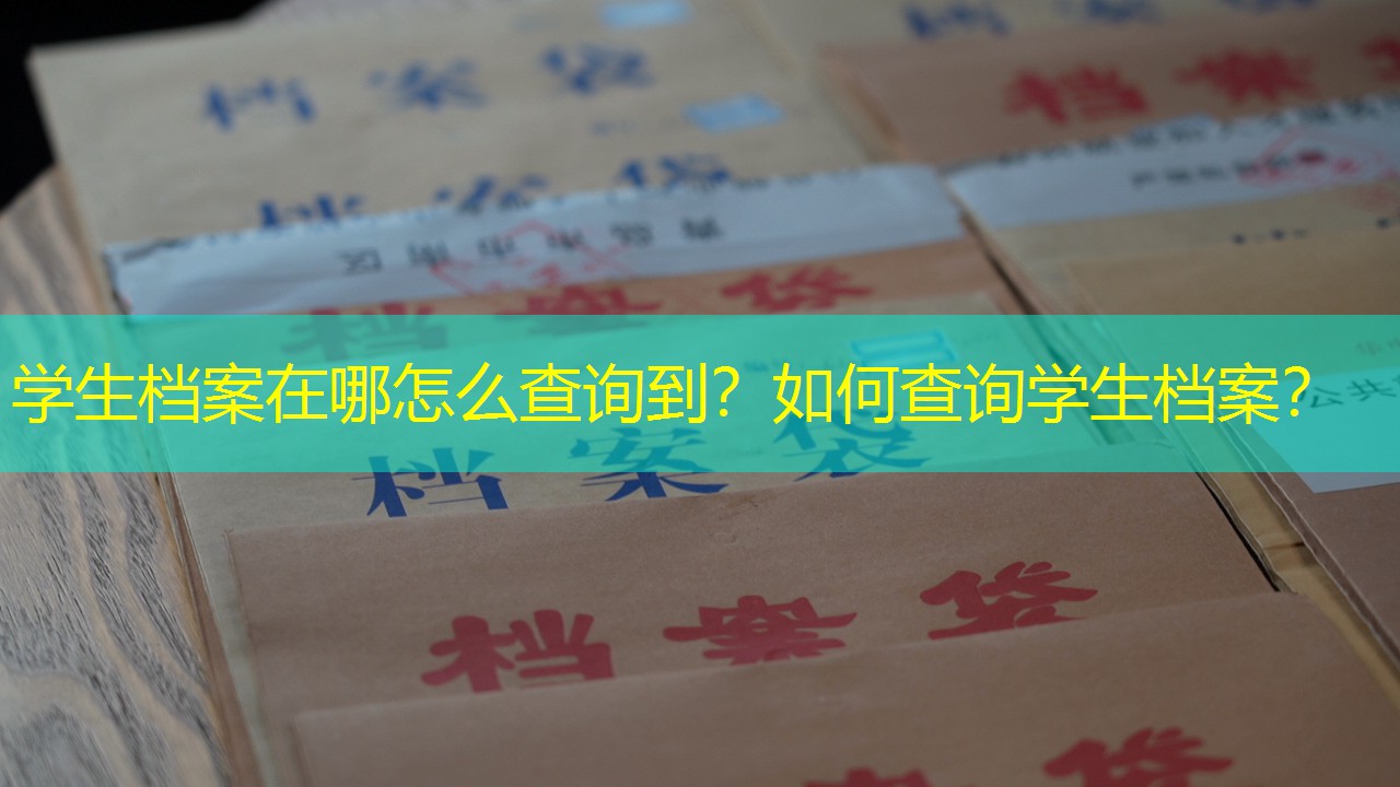 档案查询