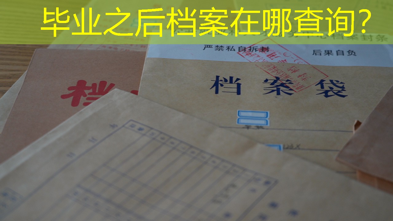 档案查询