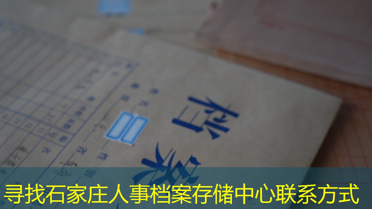 档案查询