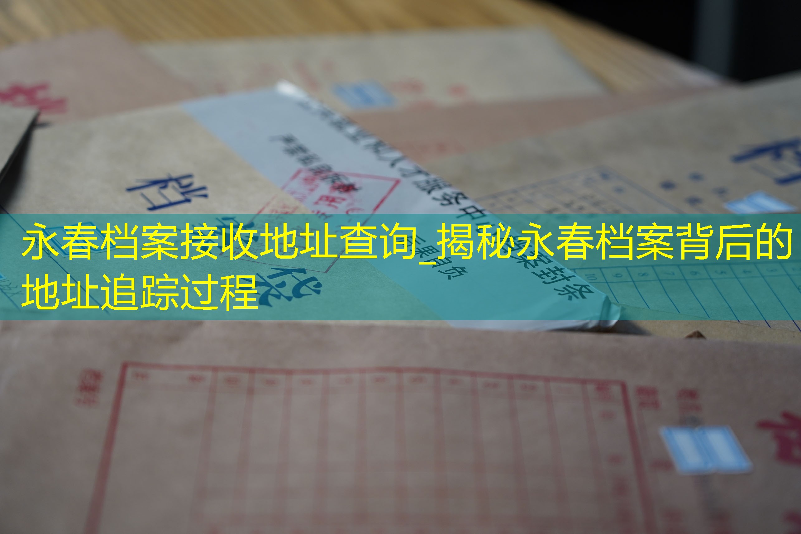 档案查询