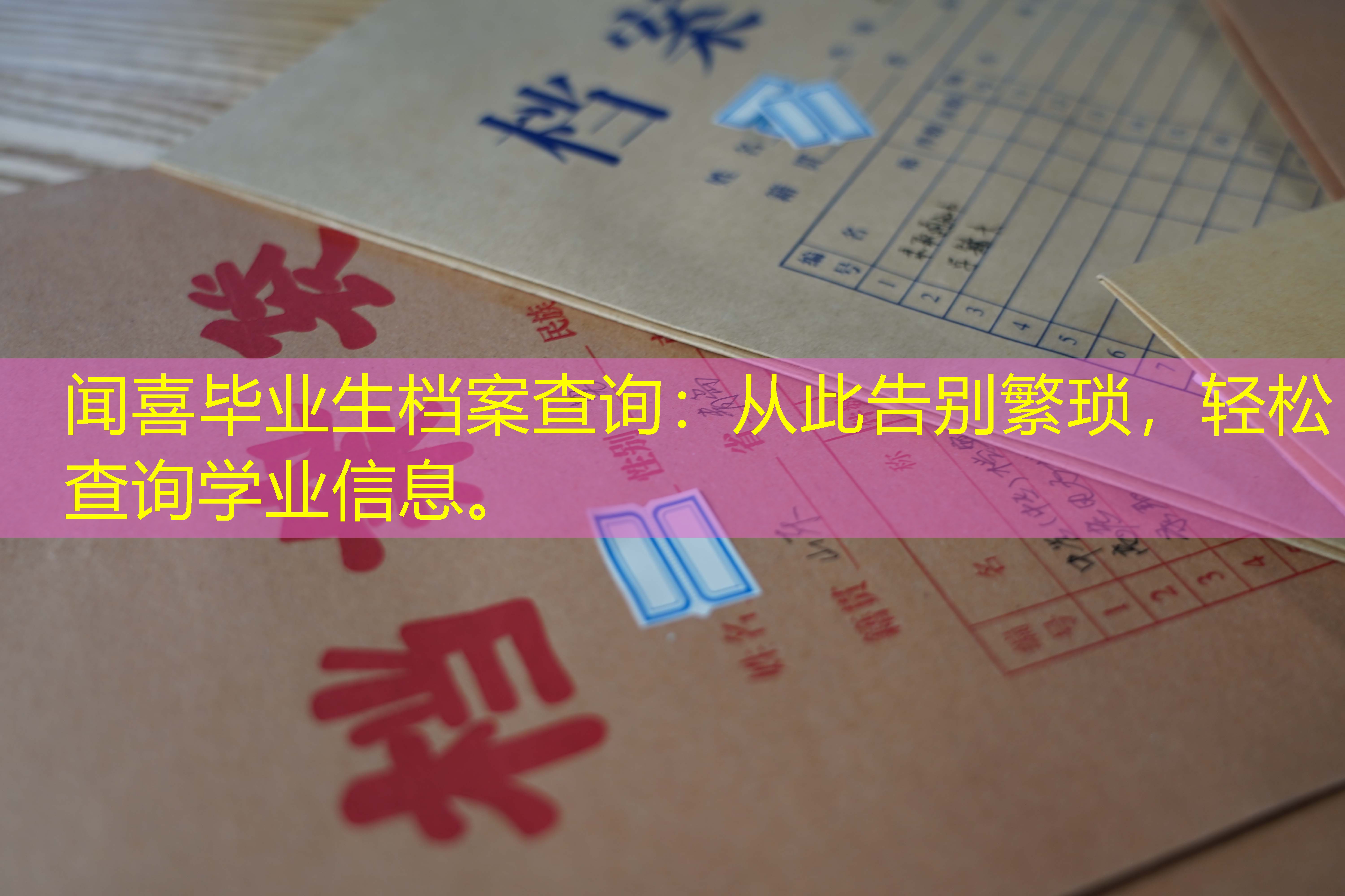 档案查询