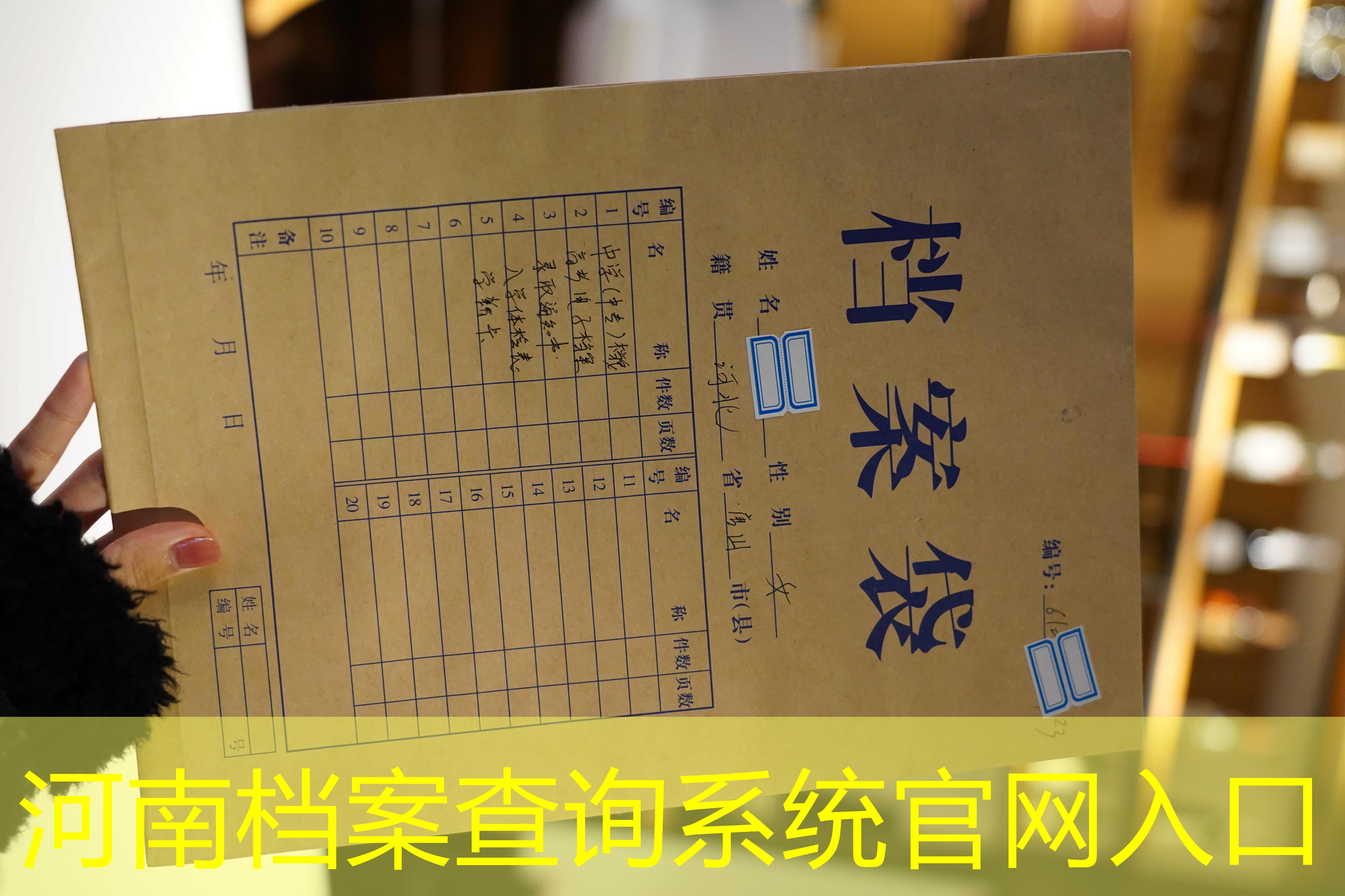 档案查询