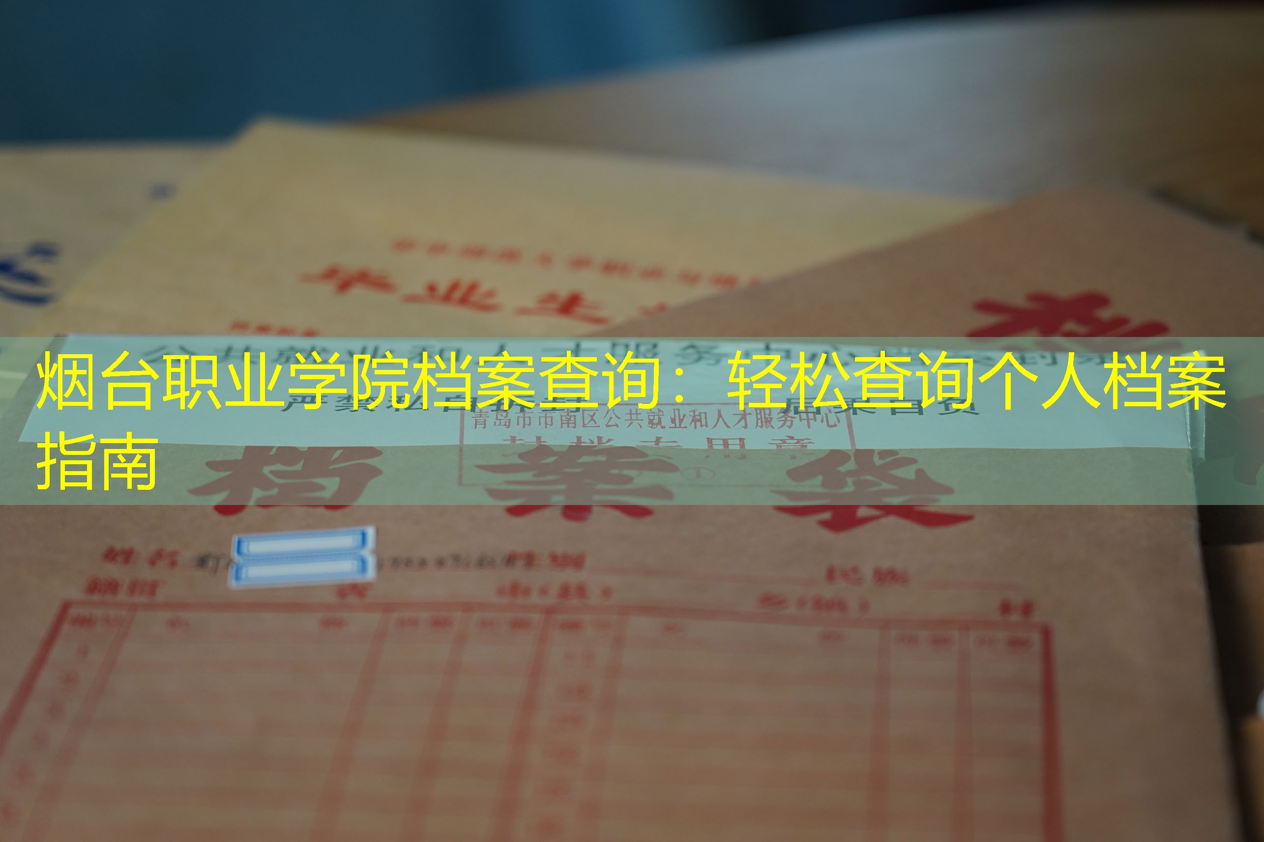档案查询