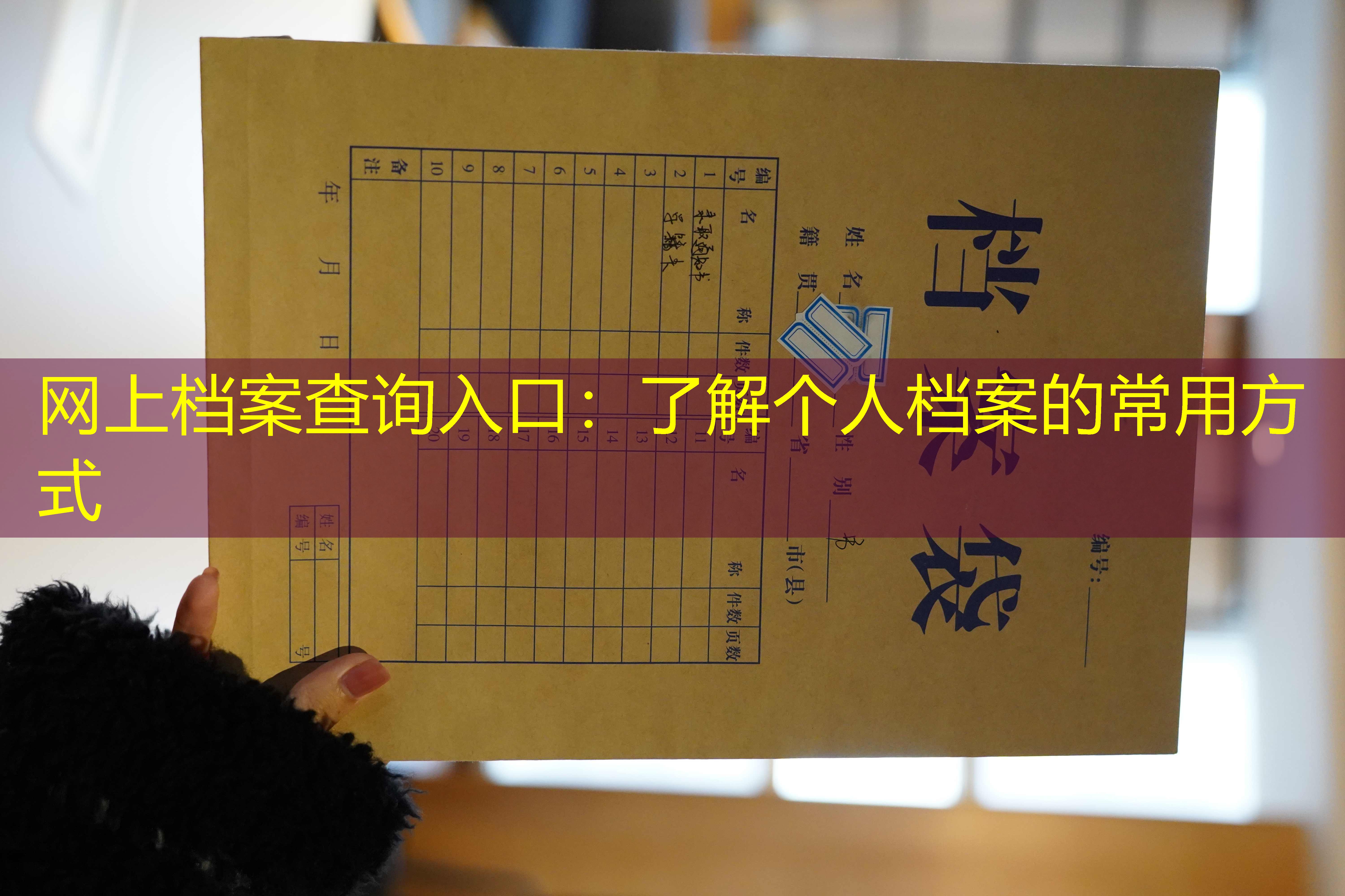 档案查询