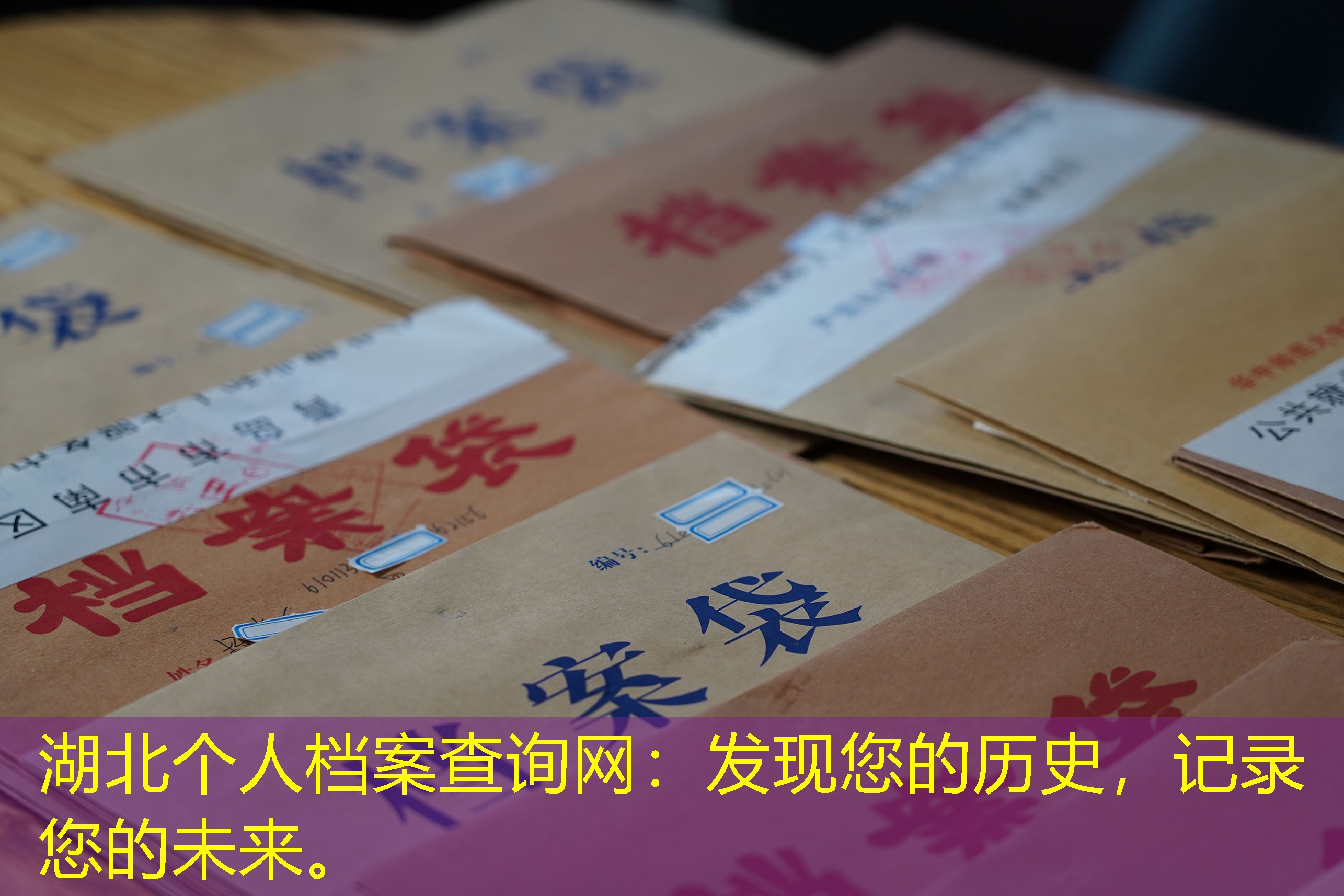 档案查询