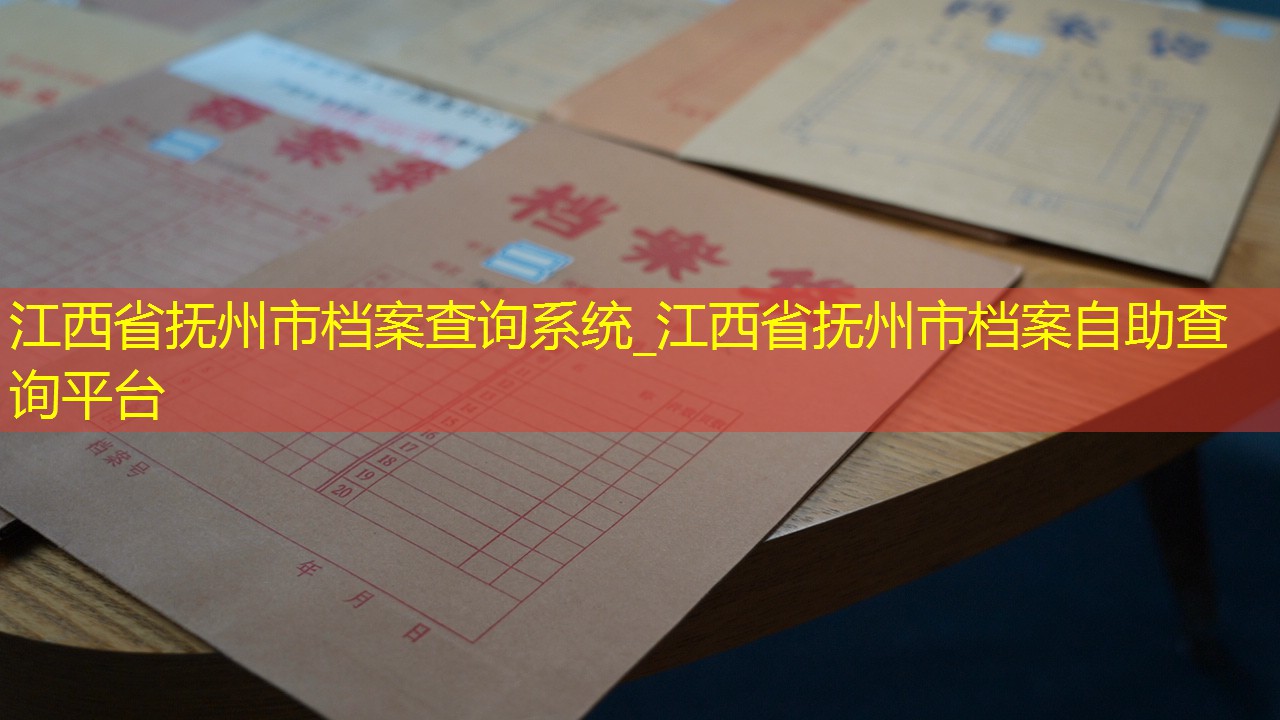 档案查询