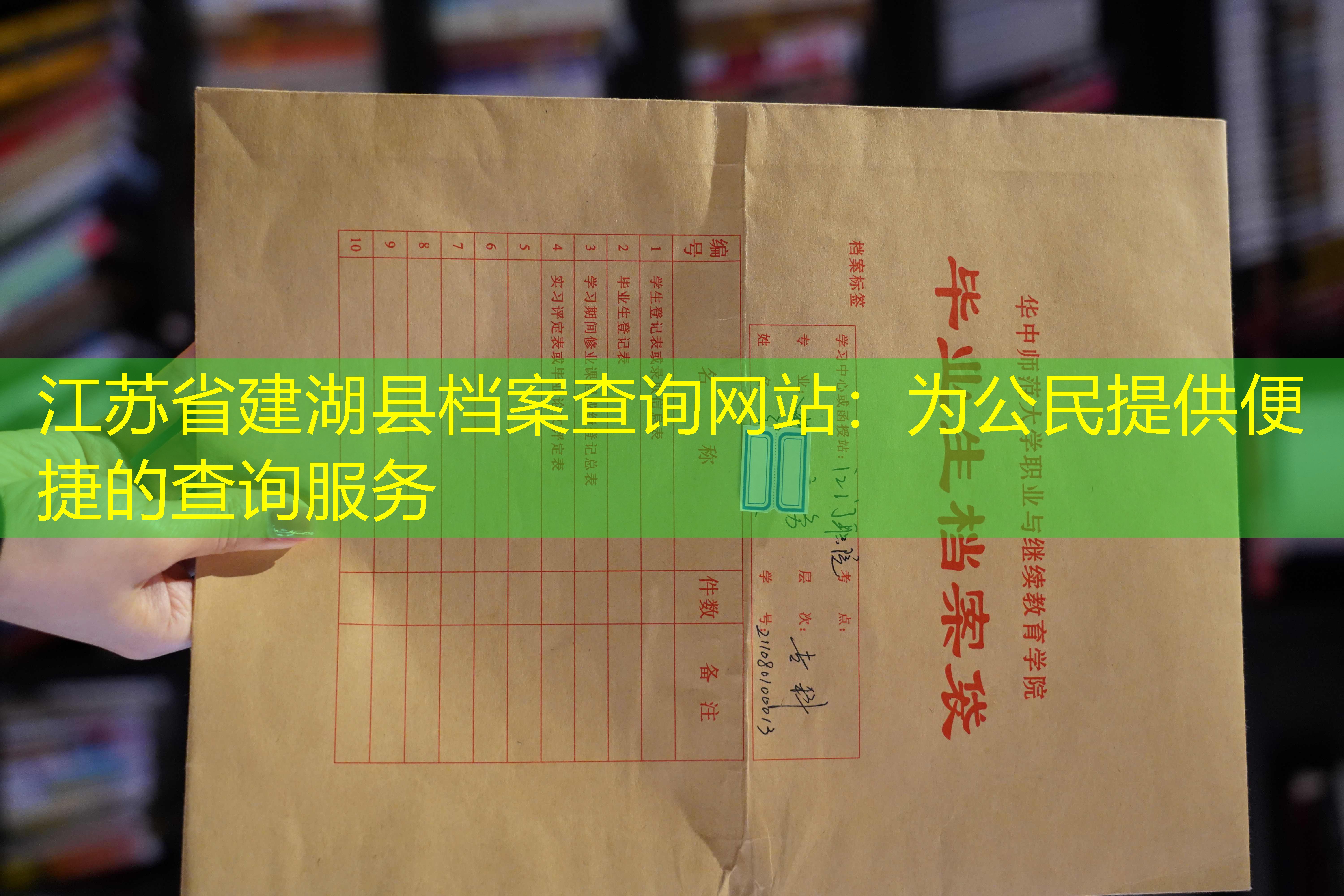 档案查询