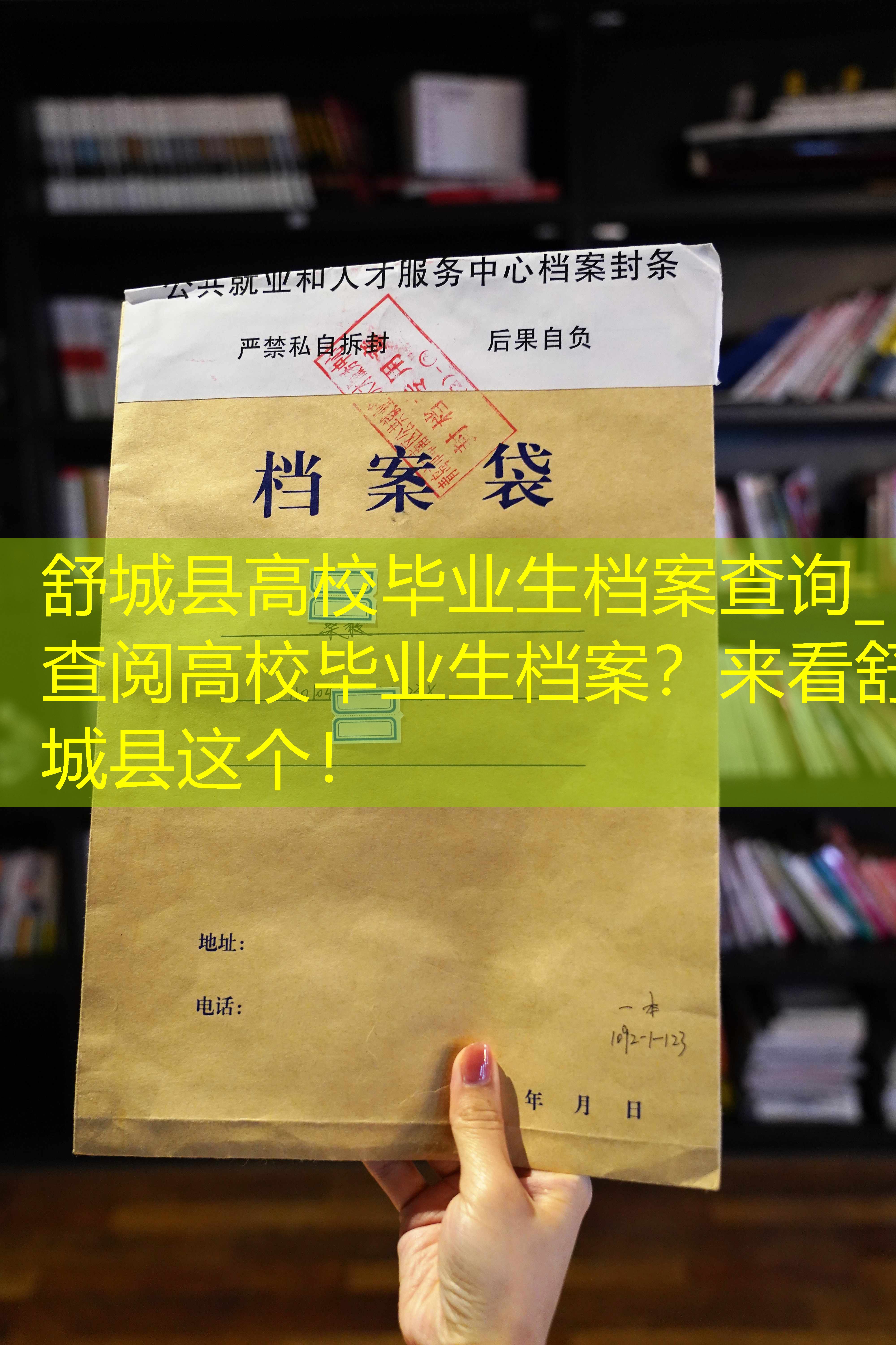 档案查询