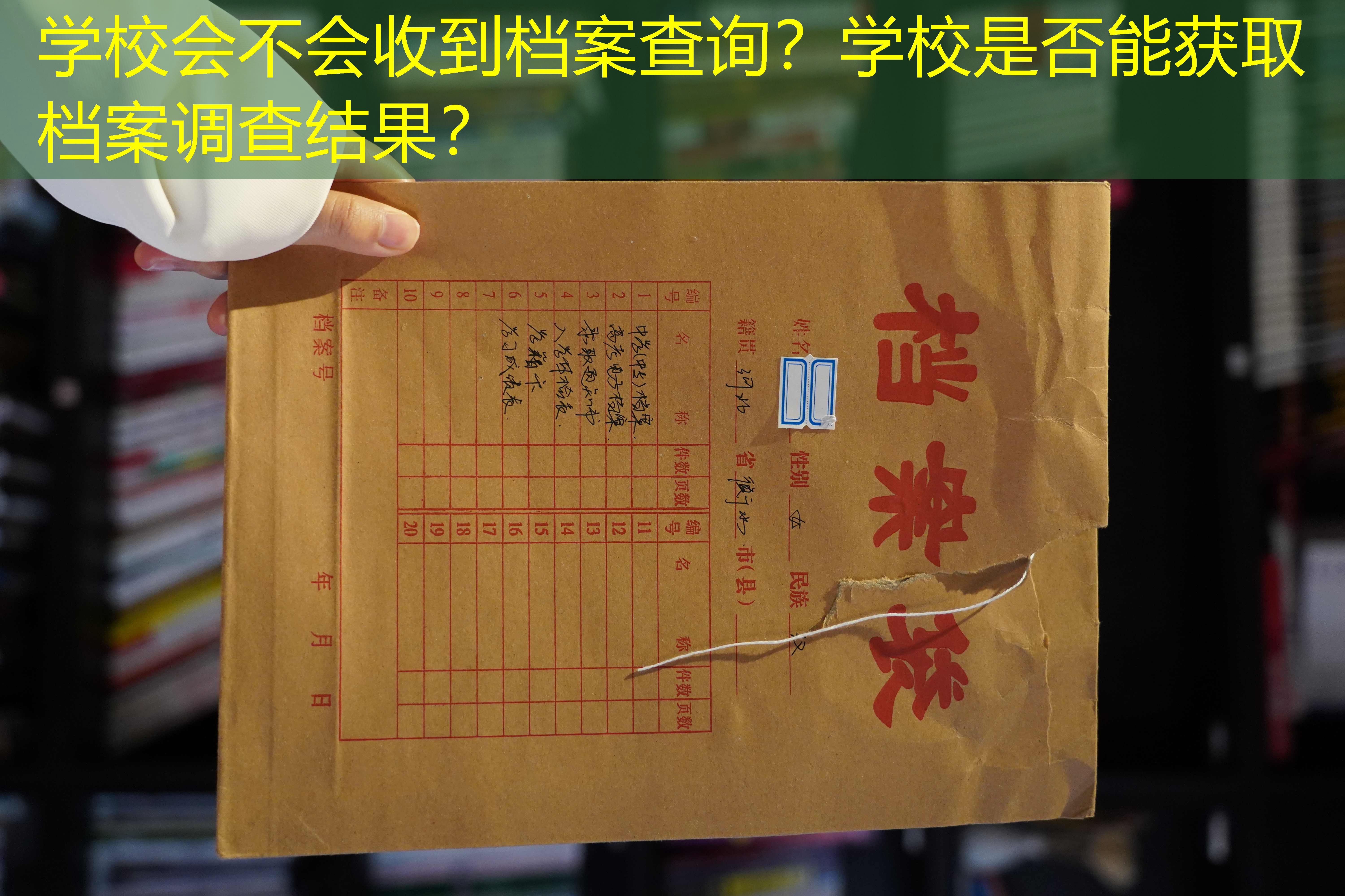 档案查询