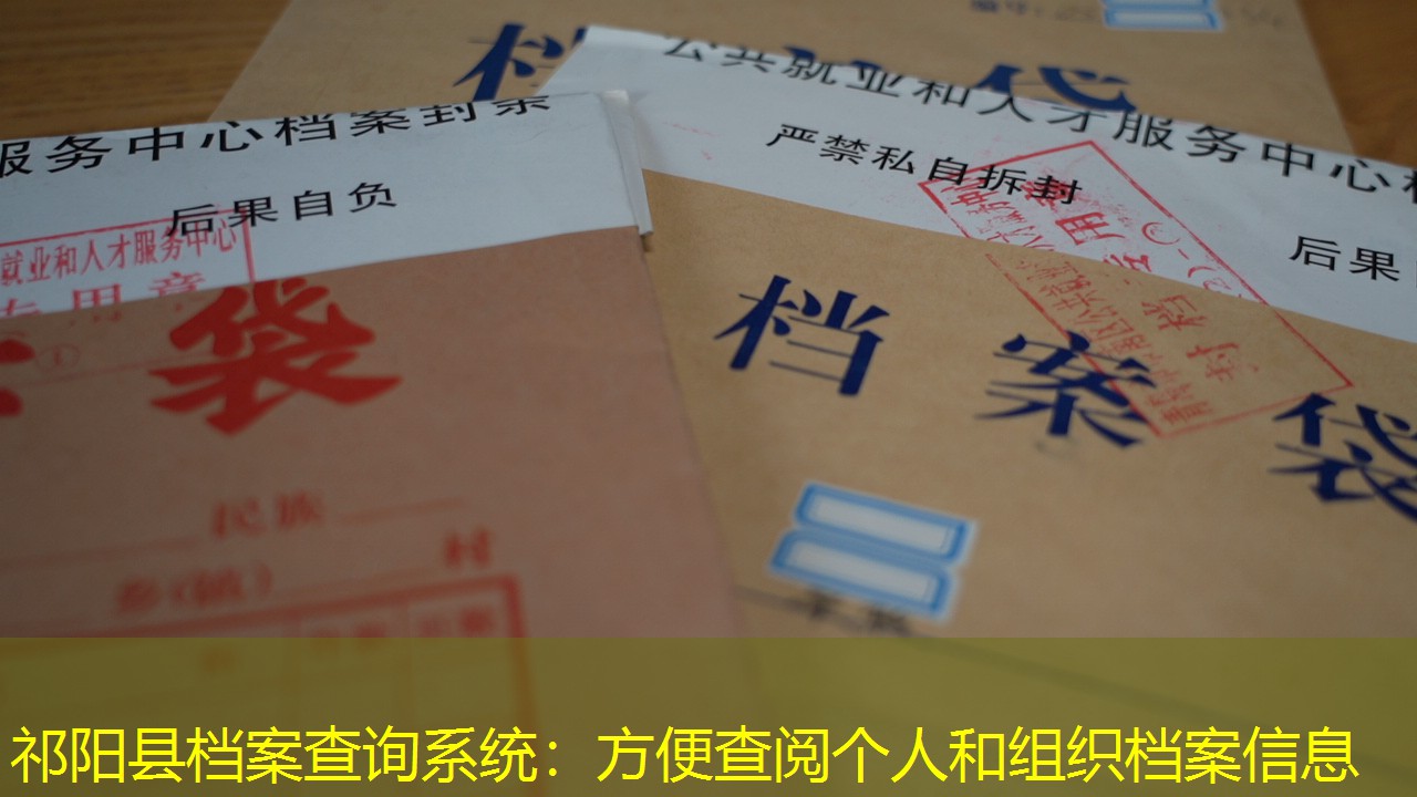档案查询
