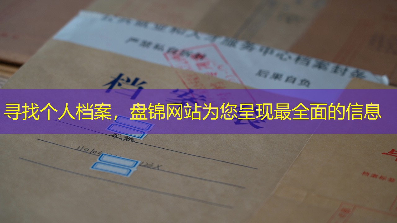 档案查询