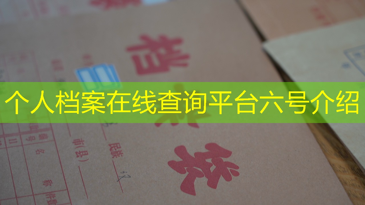 档案查询