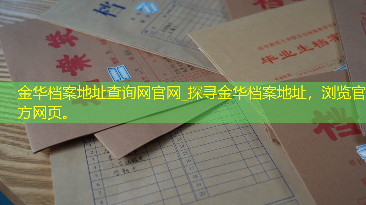 档案查询