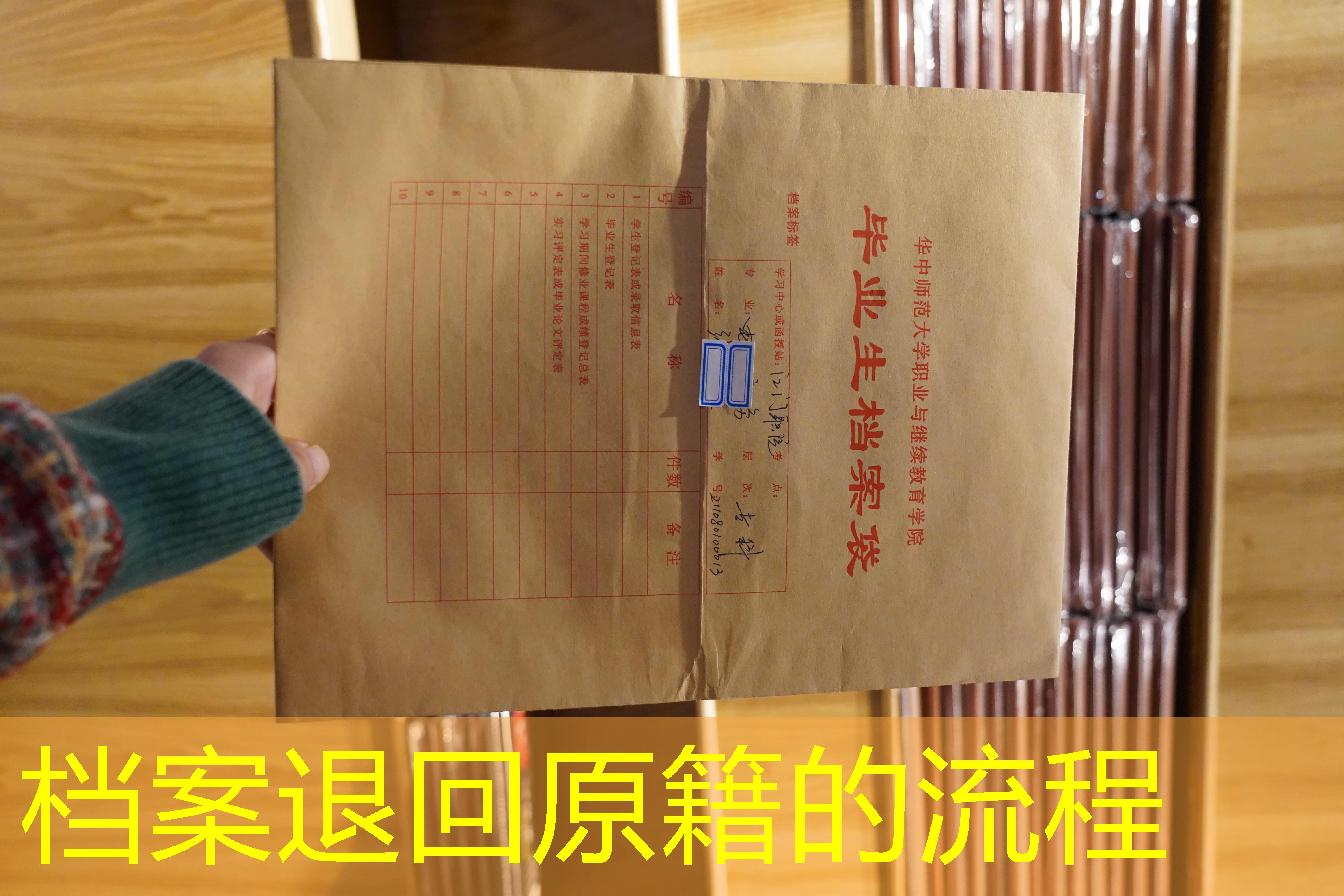 档案查询