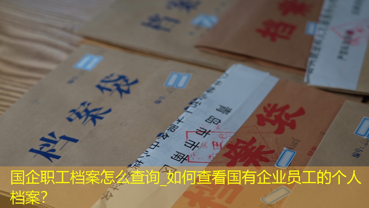 档案查询