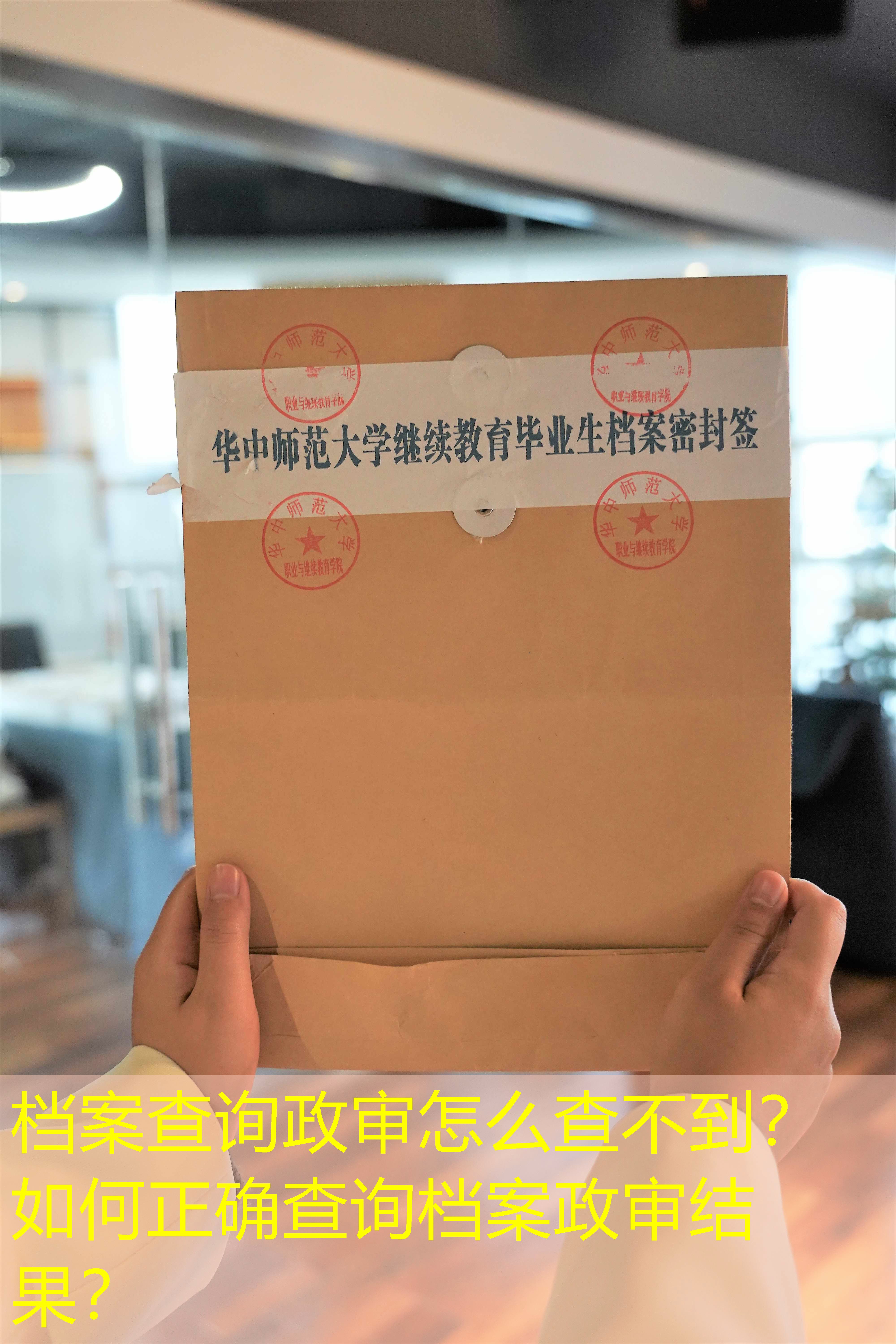 档案查询