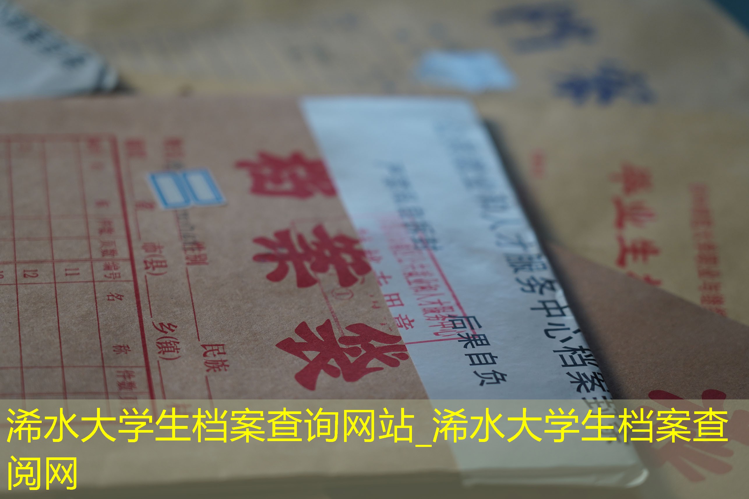 档案查询
