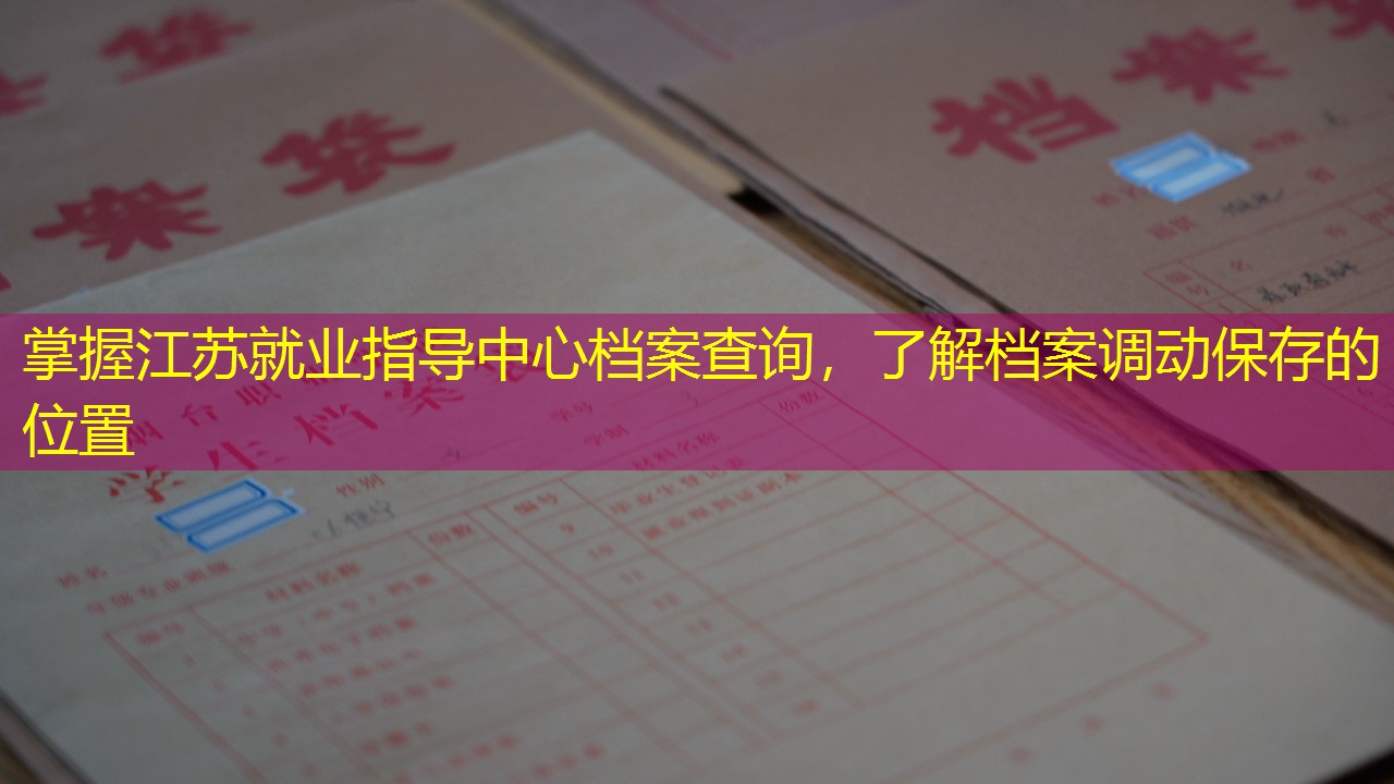 档案查询