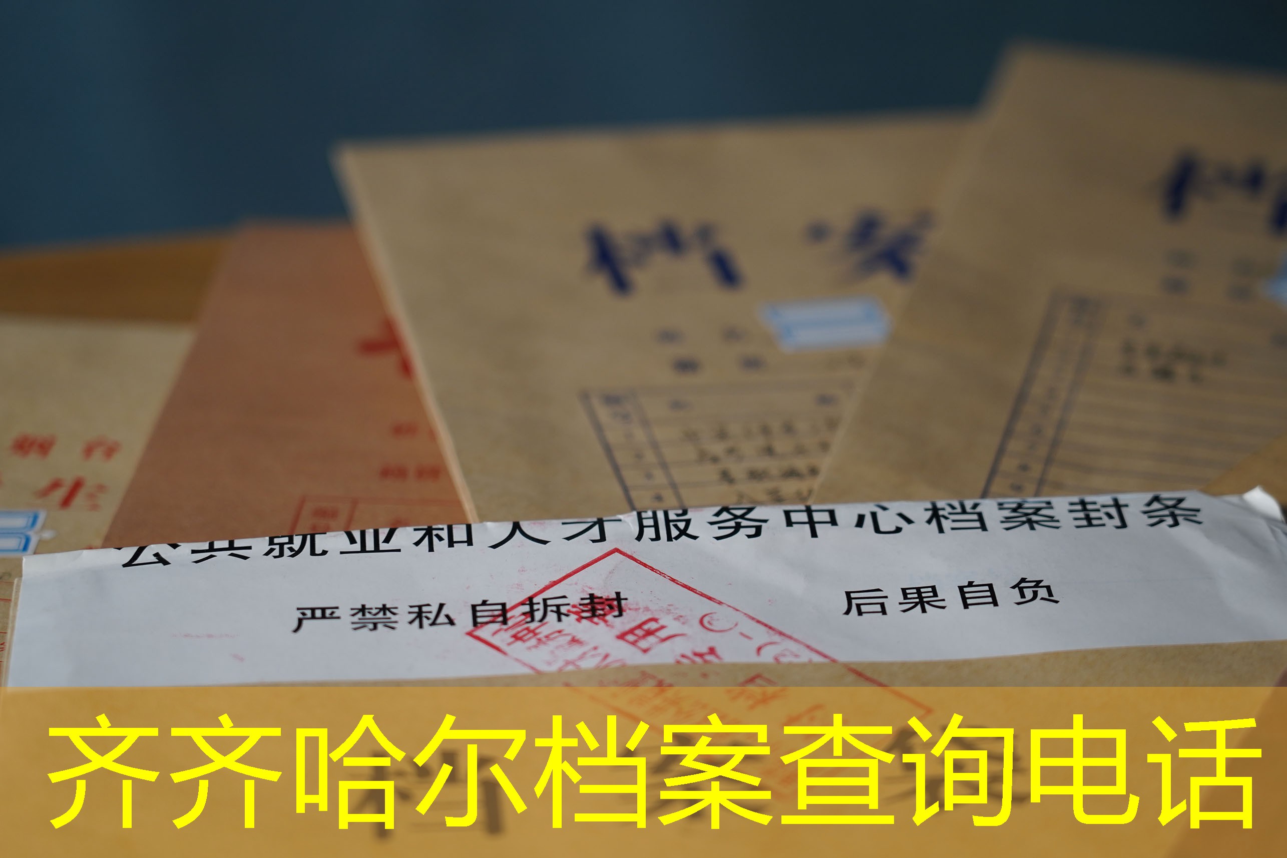 档案查询