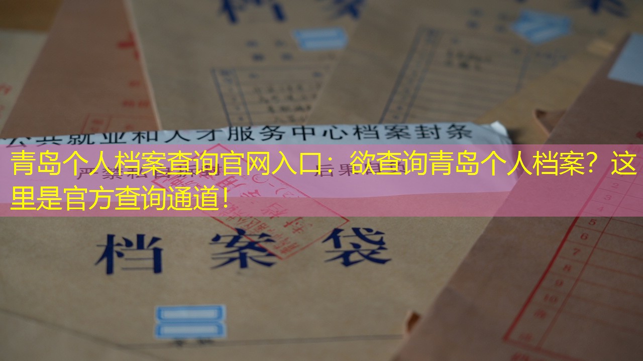 档案查询