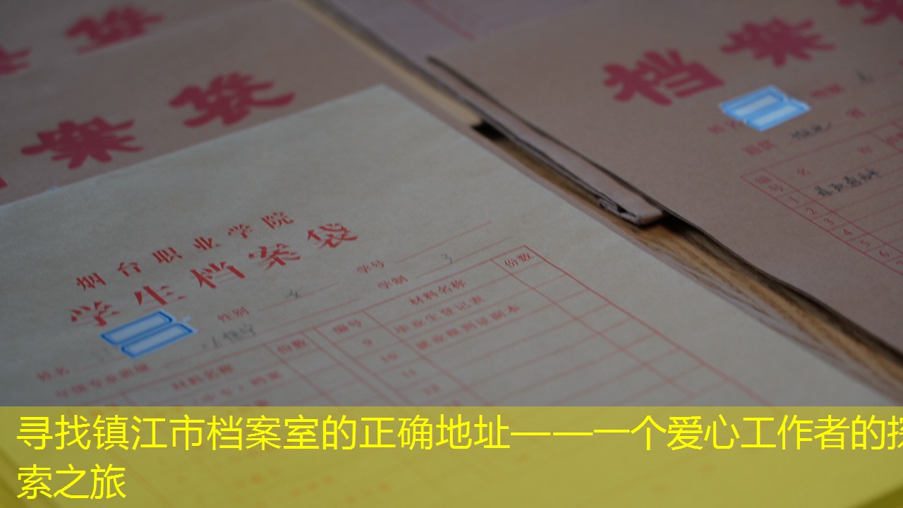档案查询