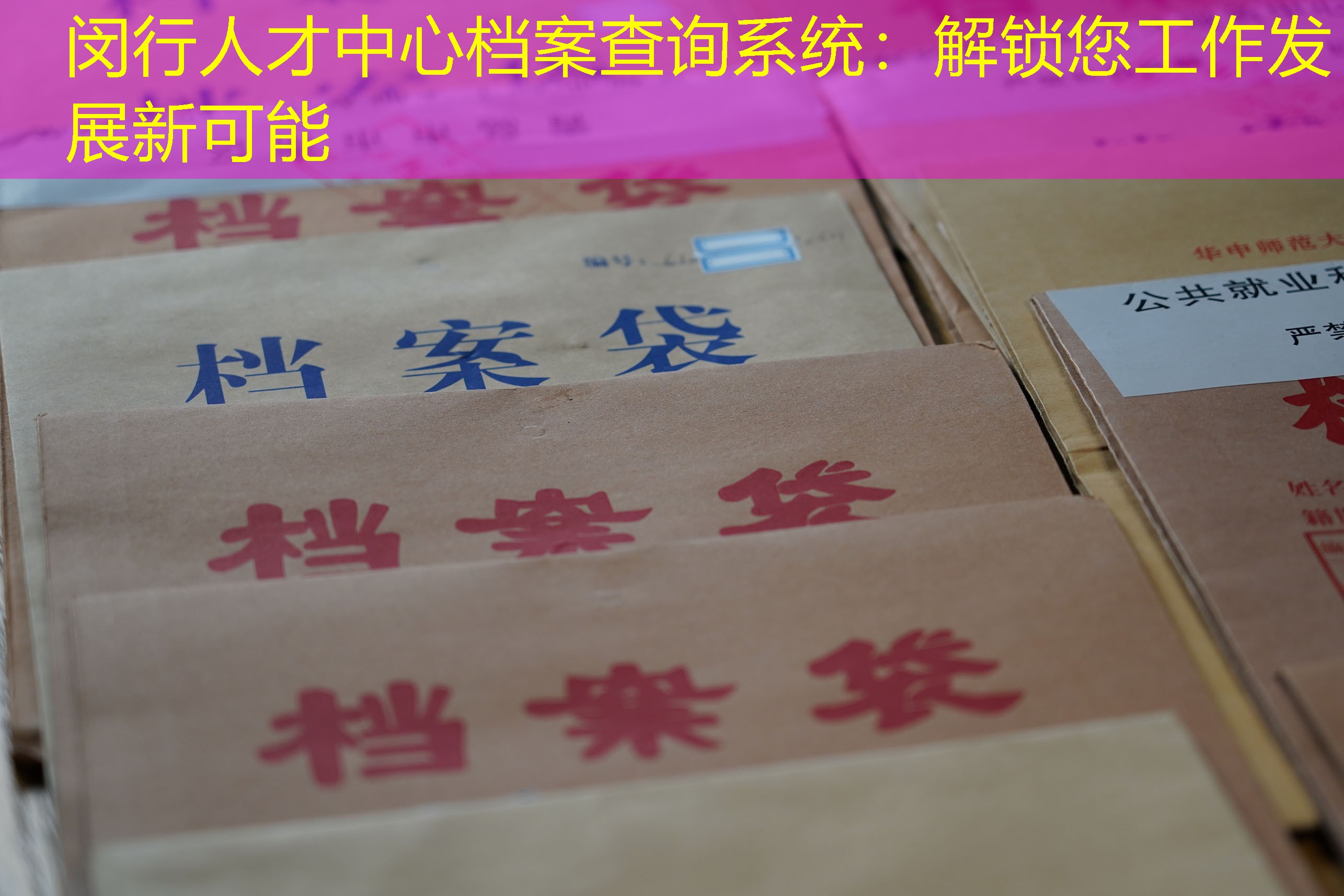 档案查询