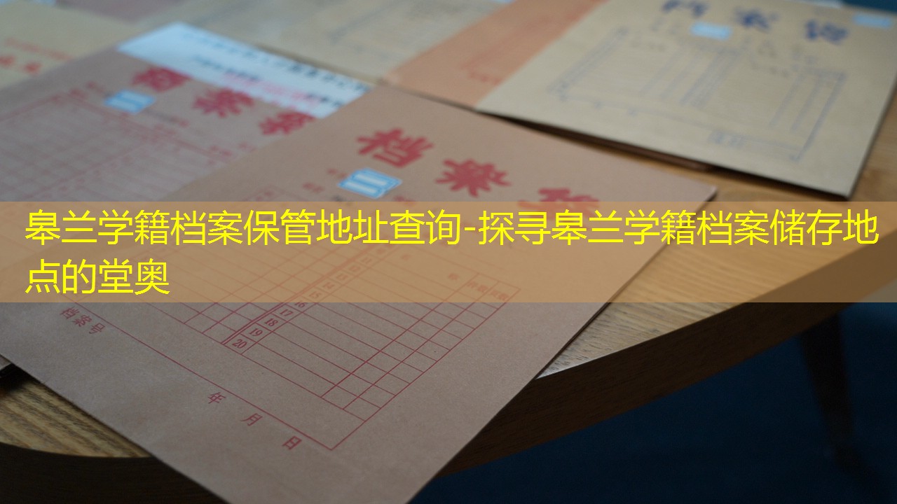 档案查询