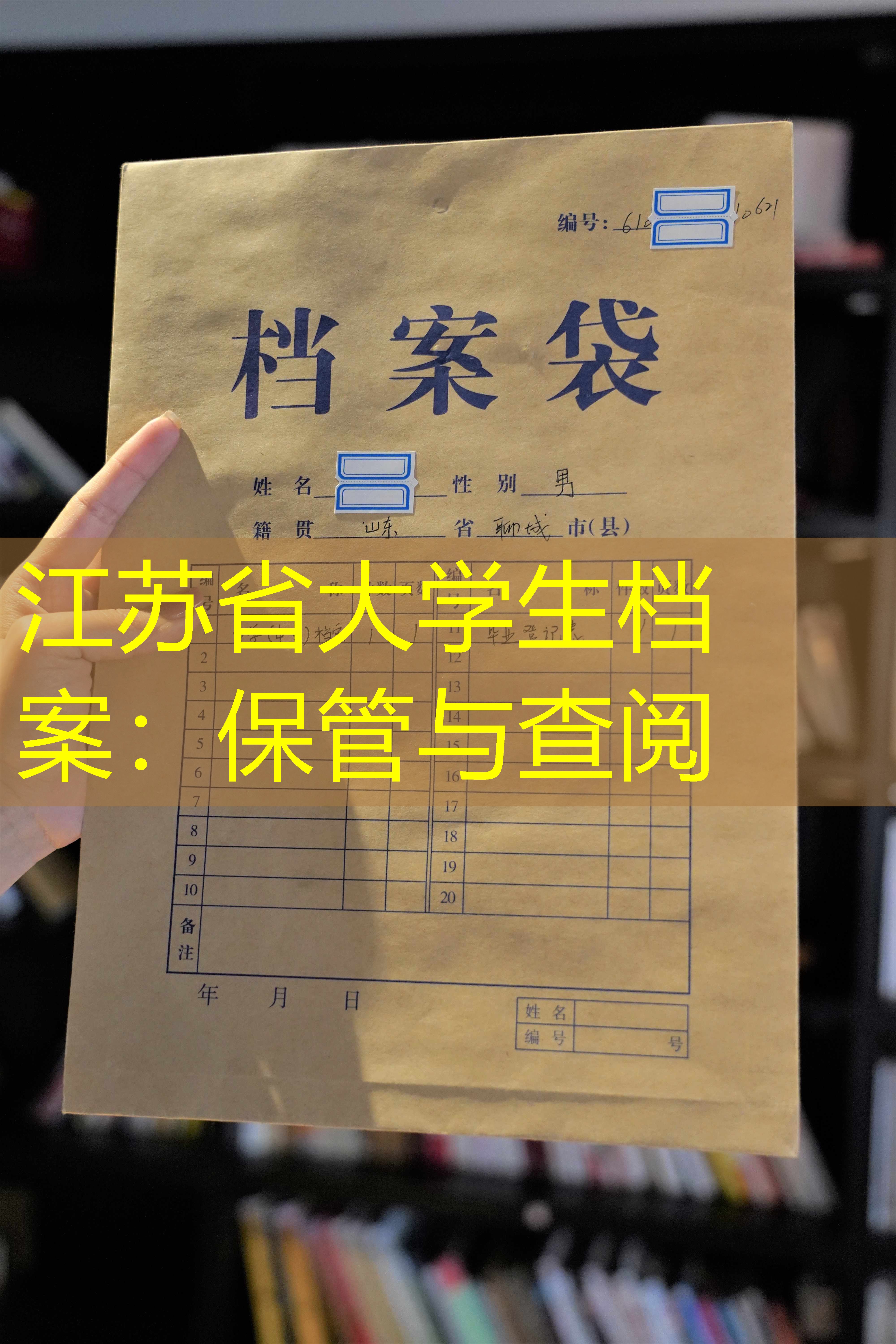 档案查询