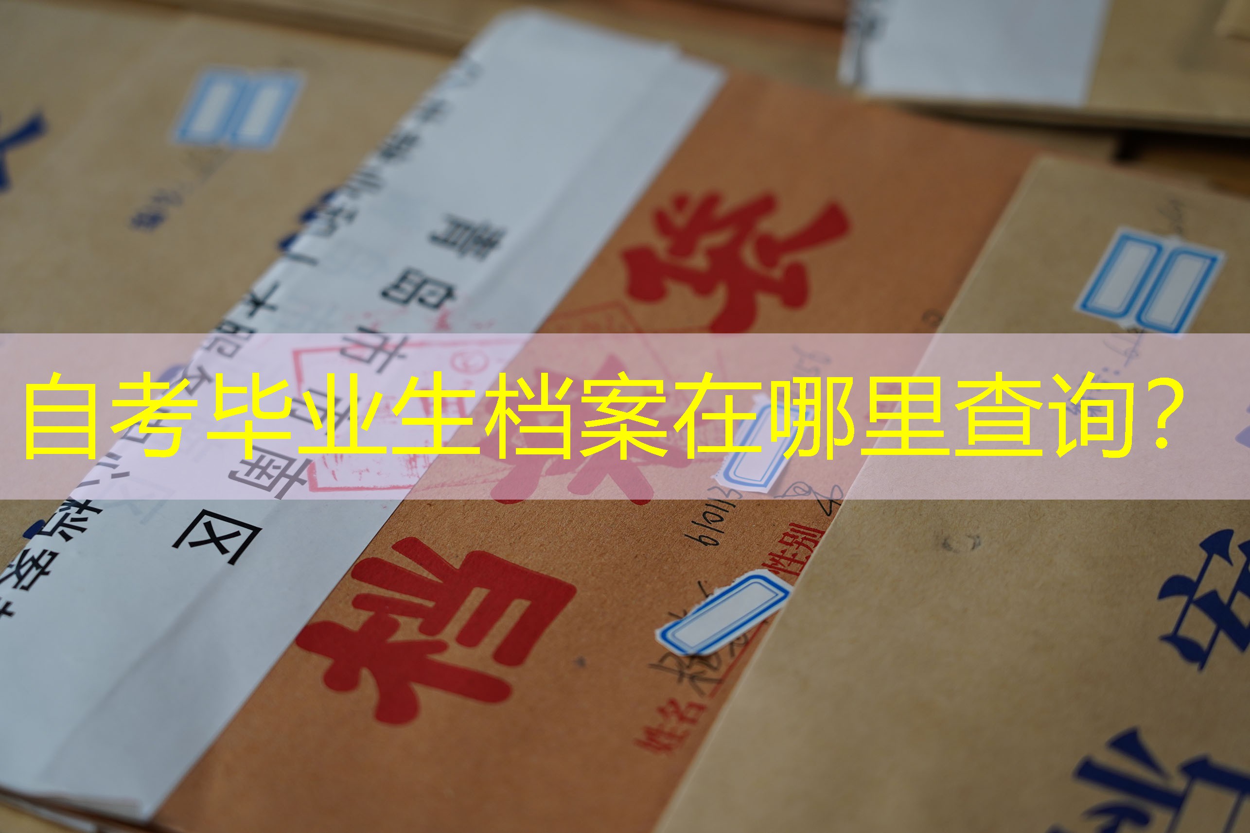 档案查询