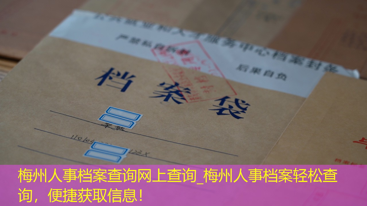 档案查询