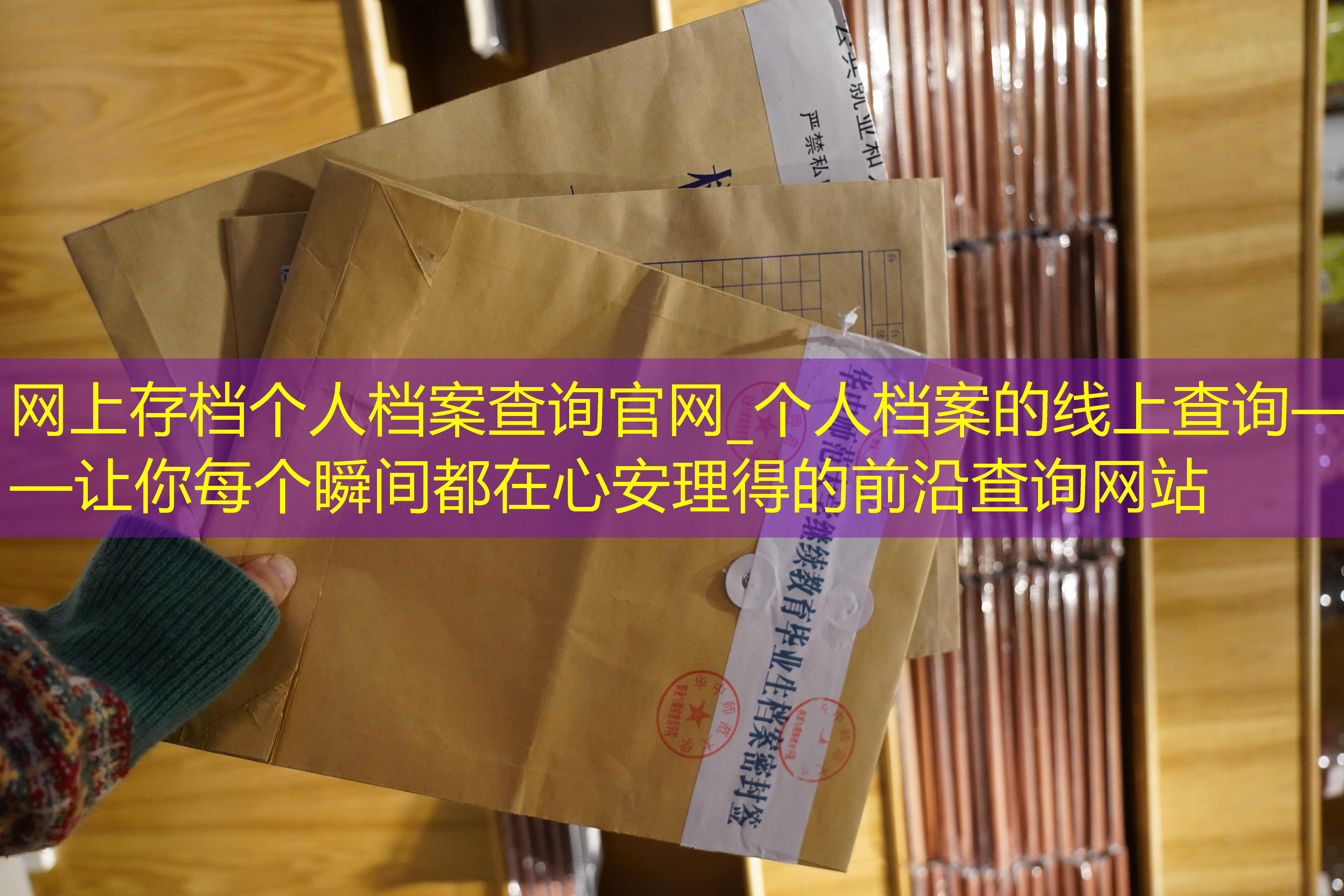 档案查询