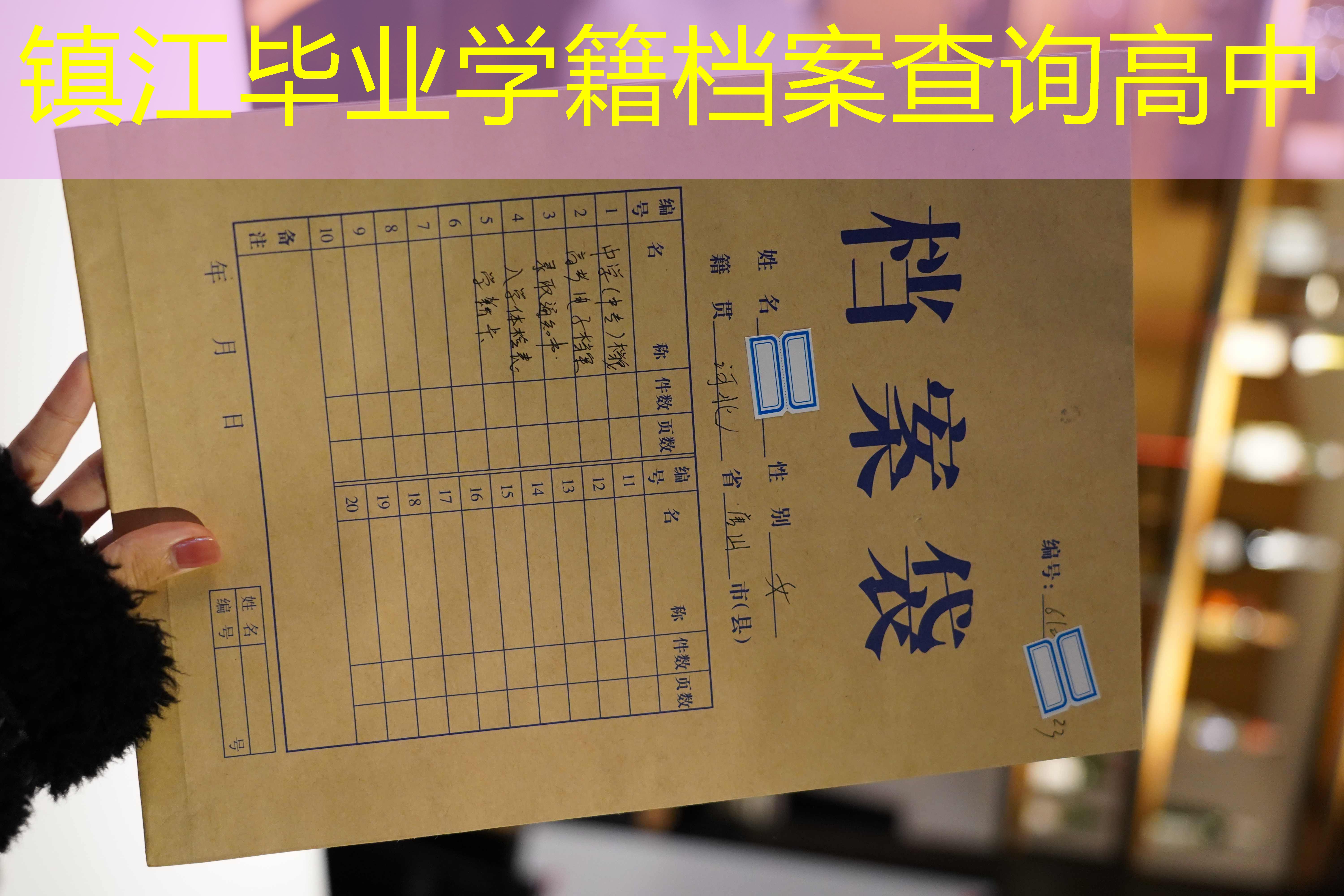 档案查询