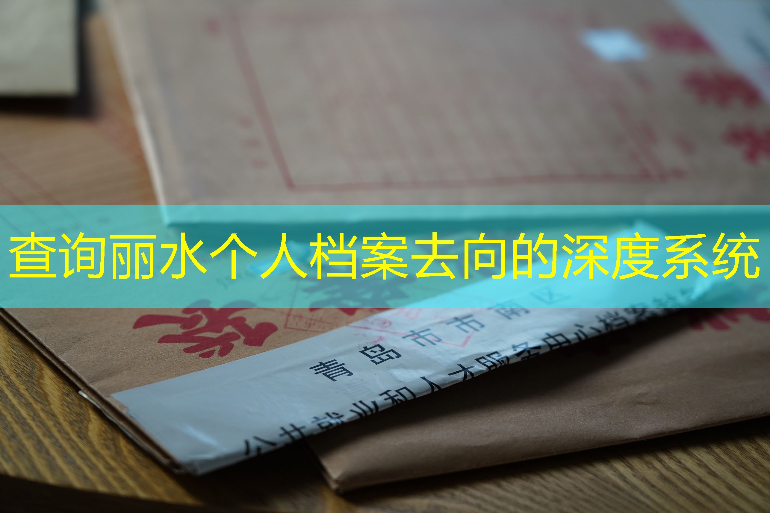 档案查询