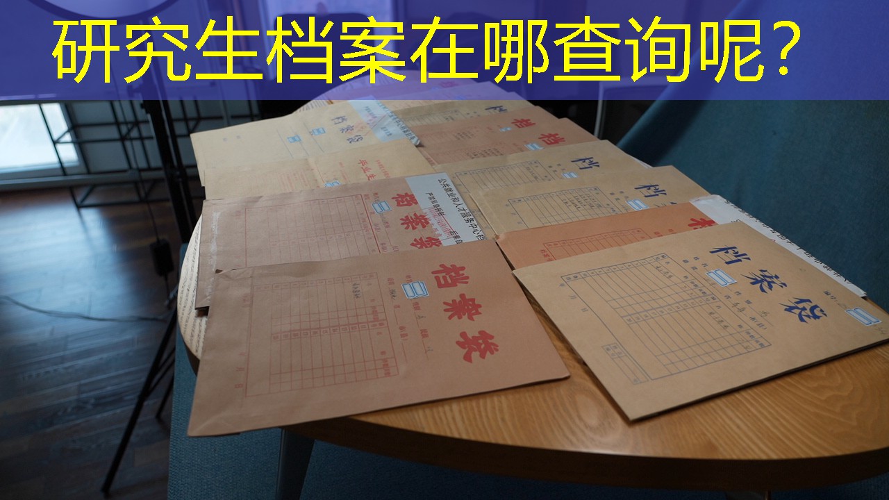 档案查询