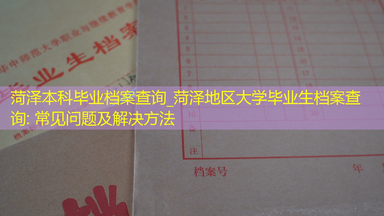 档案查询