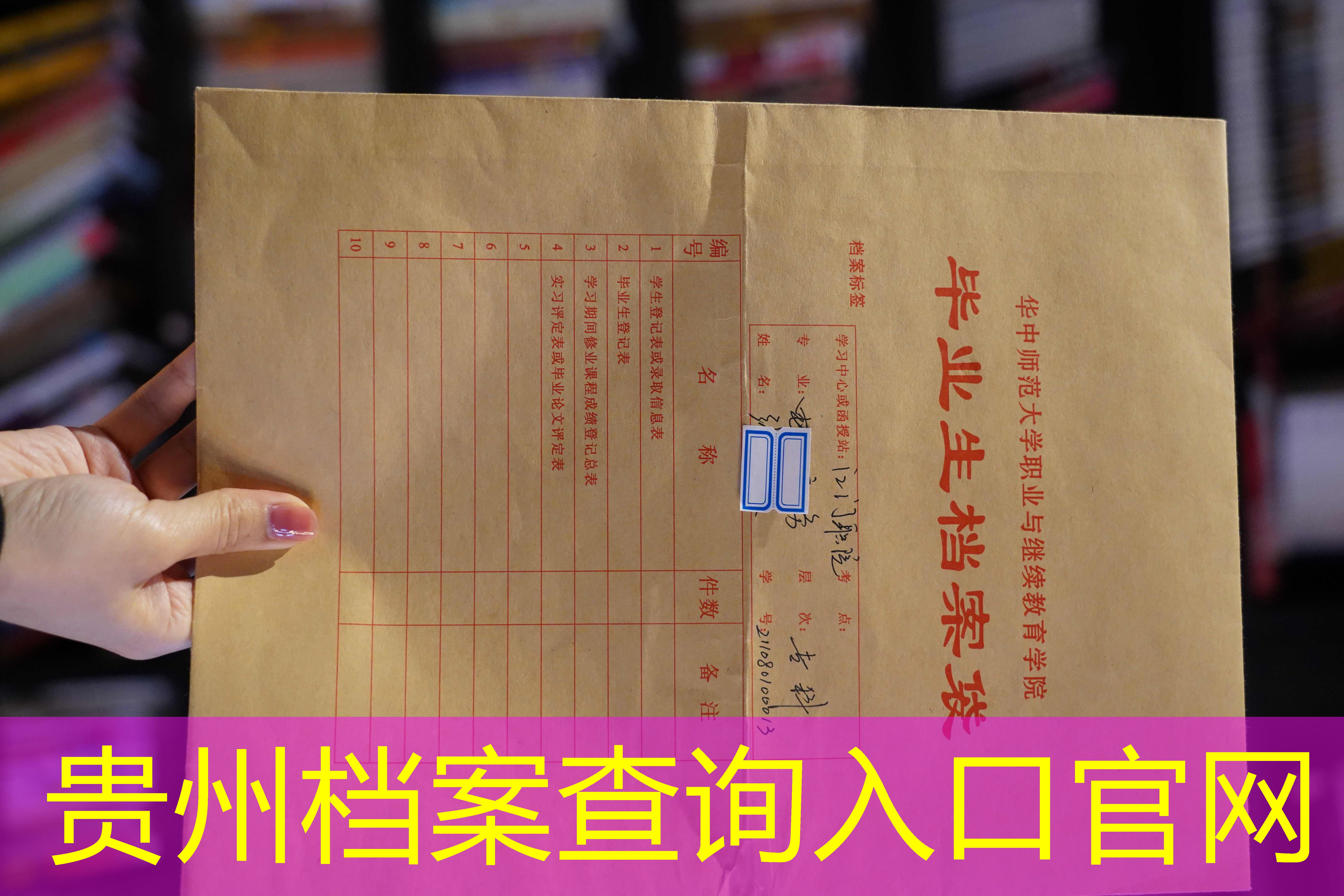 档案查询