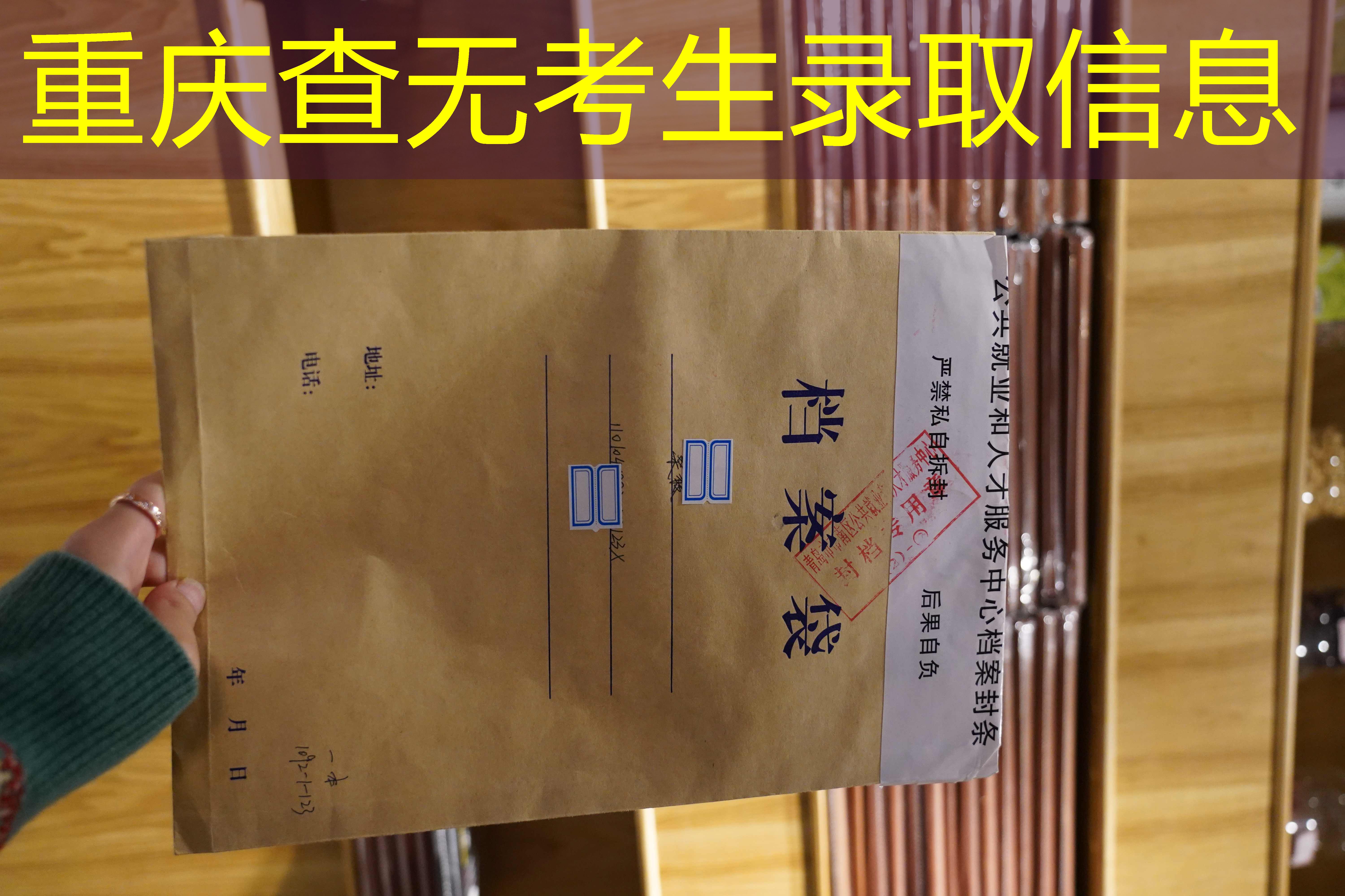 档案查询
