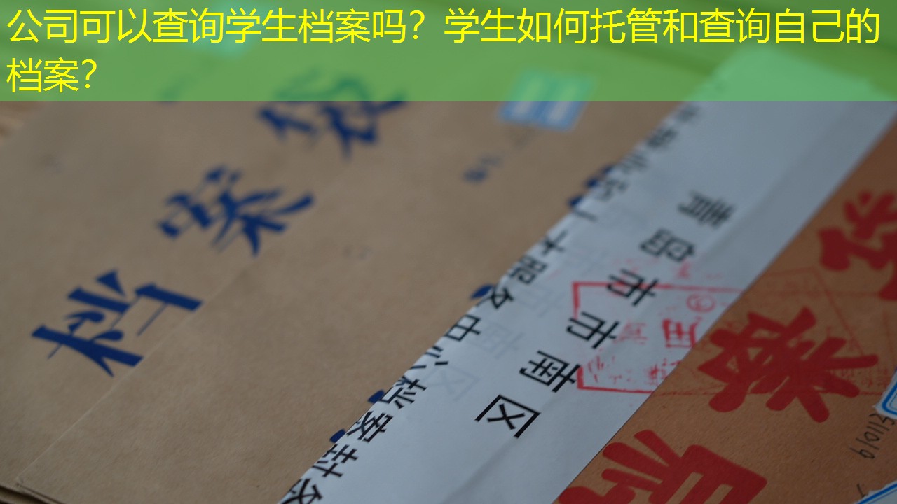 档案查询