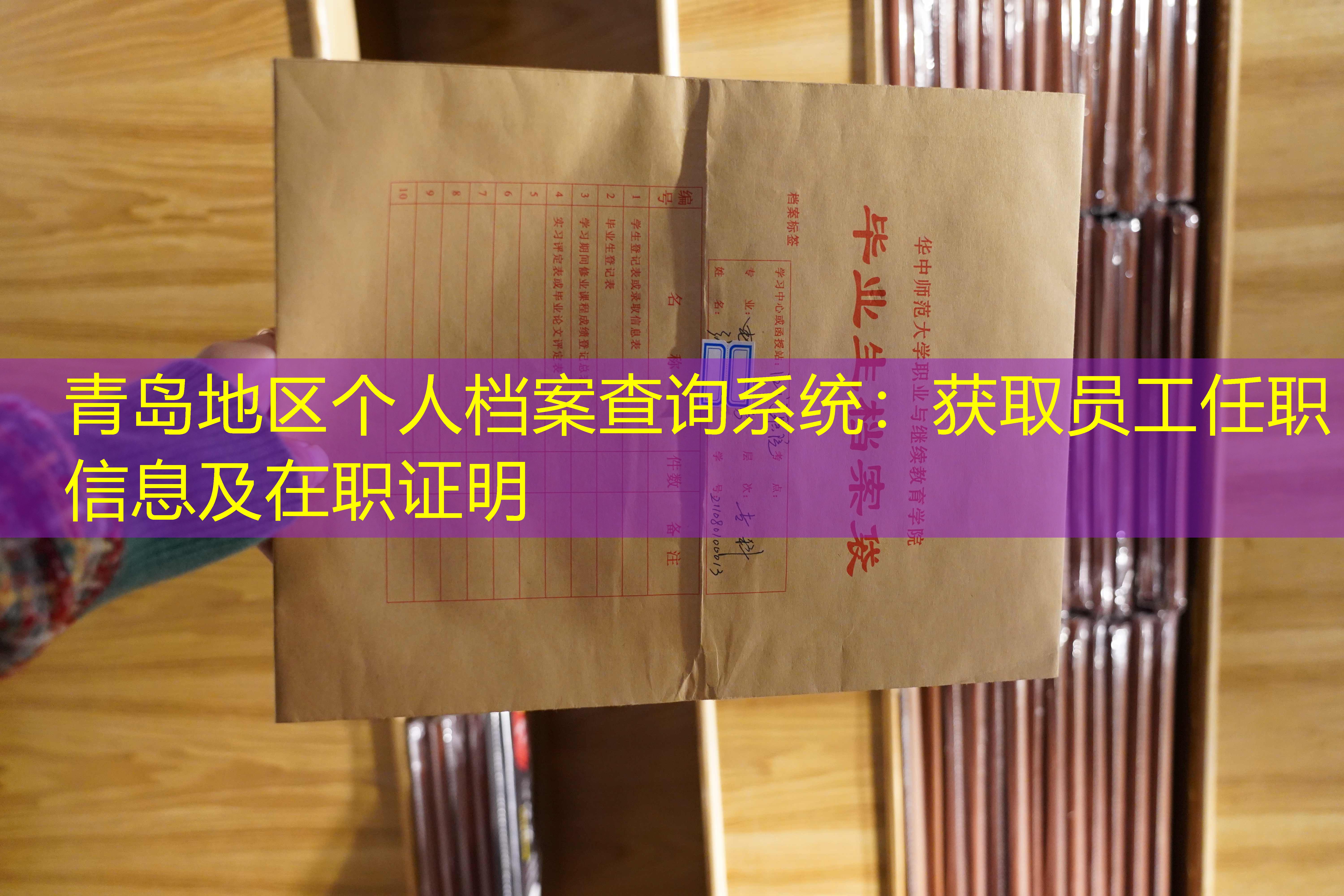 档案查询