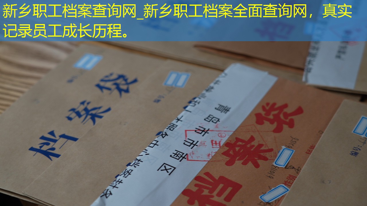 档案查询