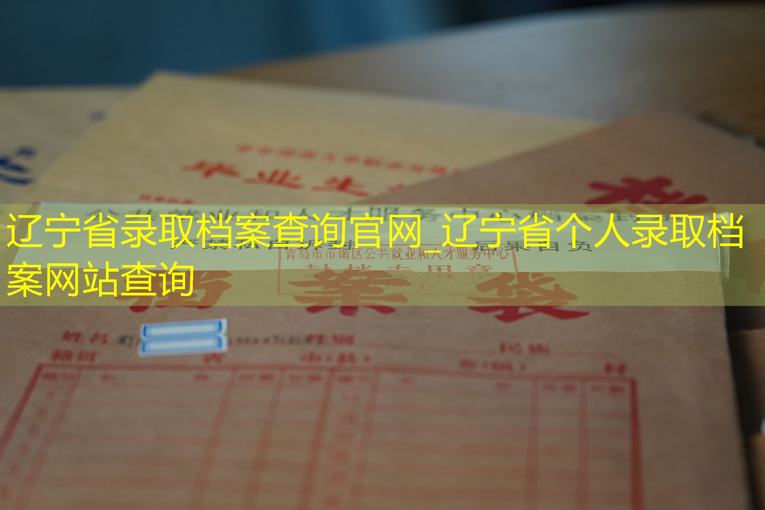 档案查询