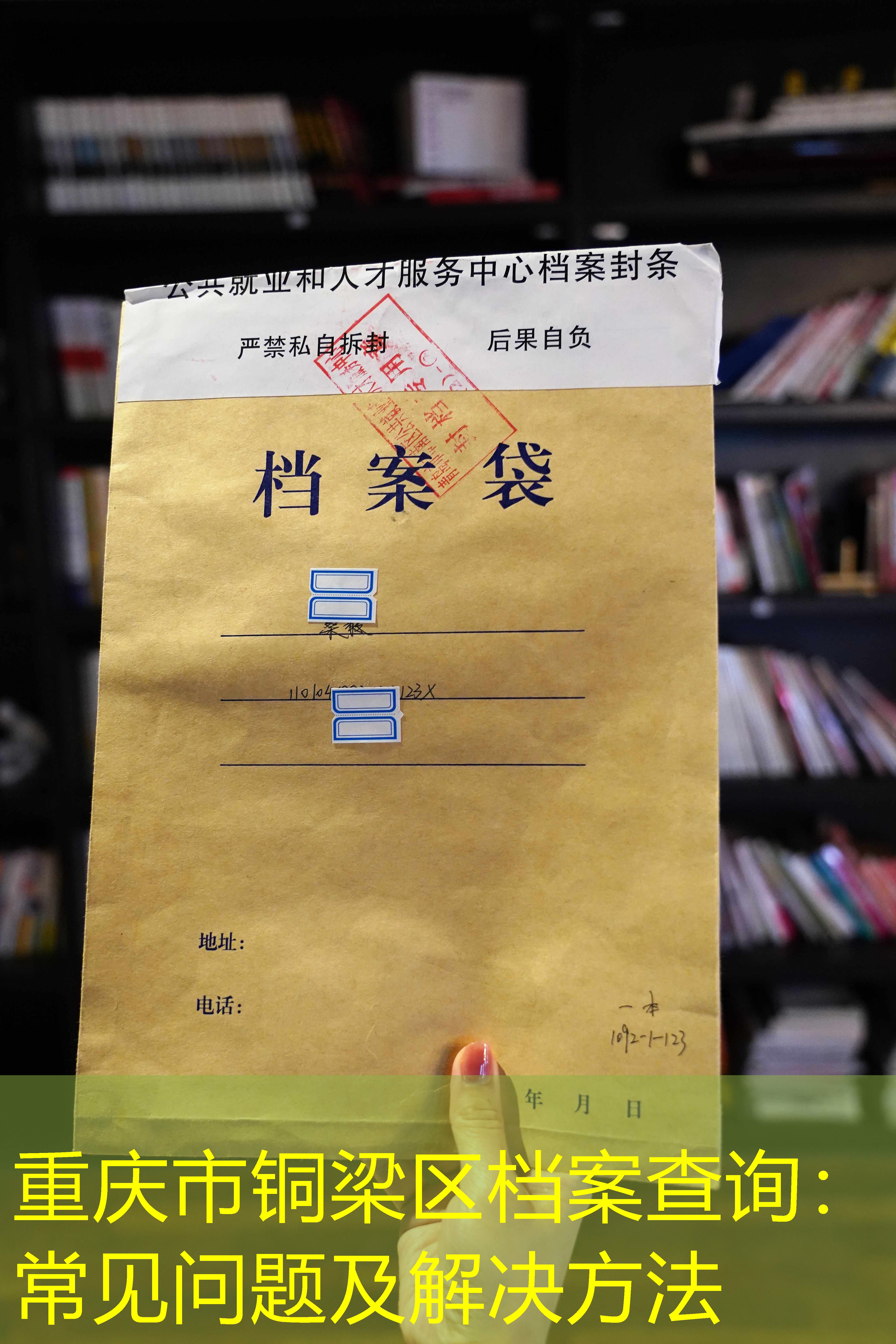 档案查询