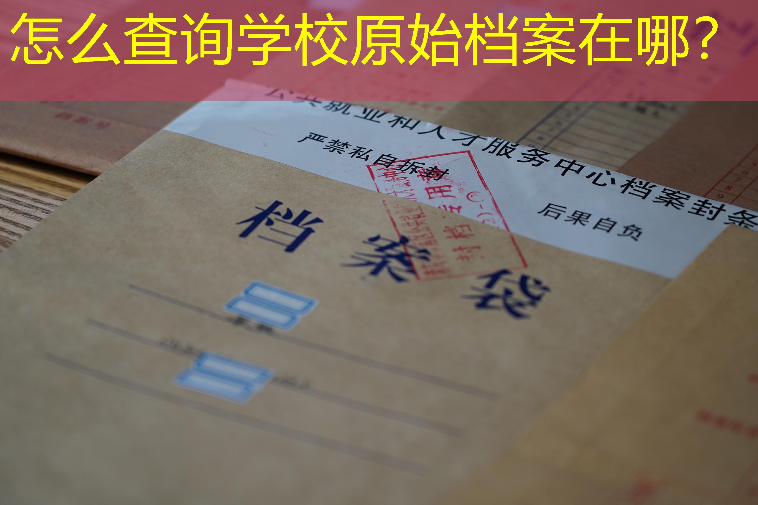 档案查询