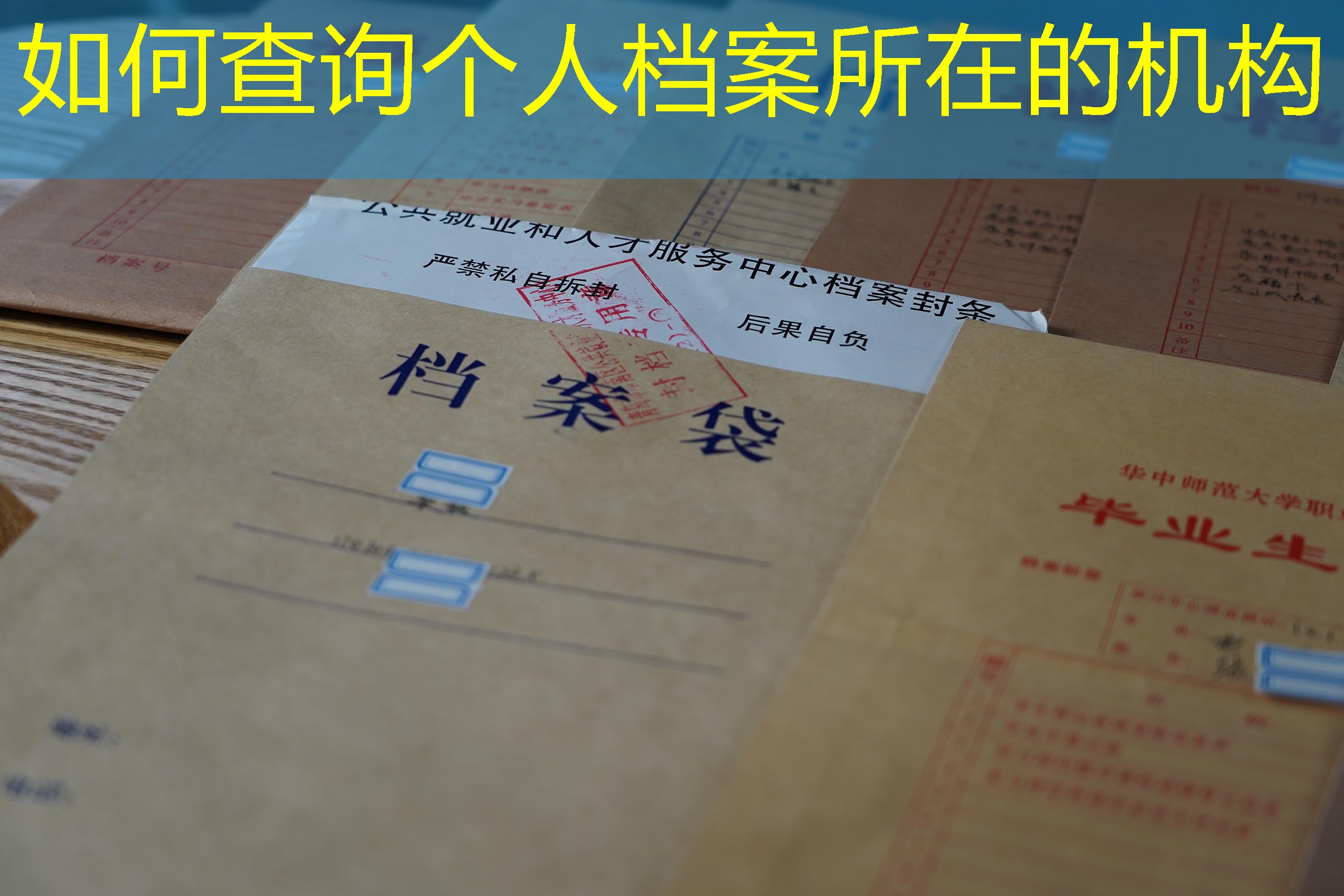 档案查询