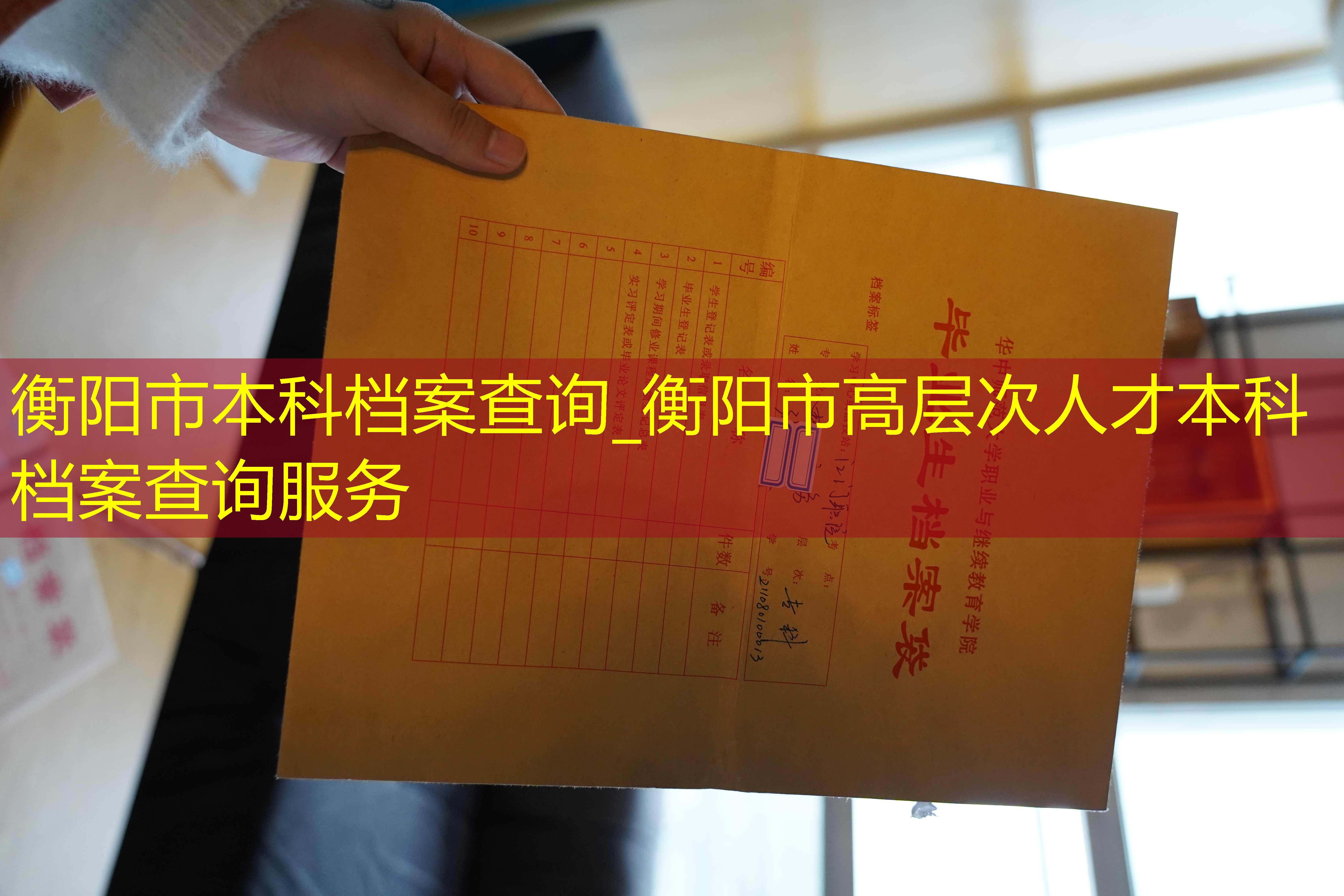 档案查询