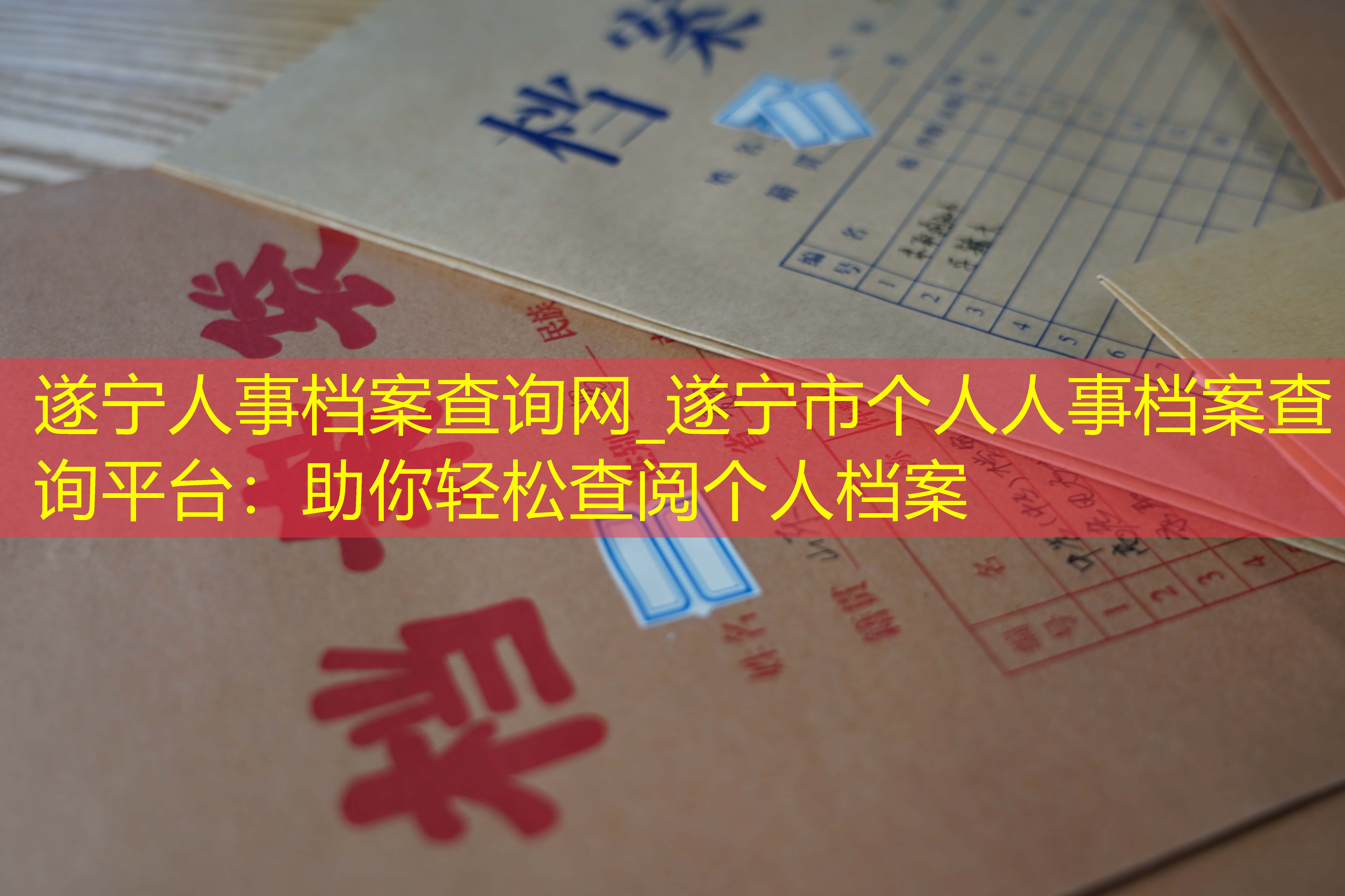 档案查询