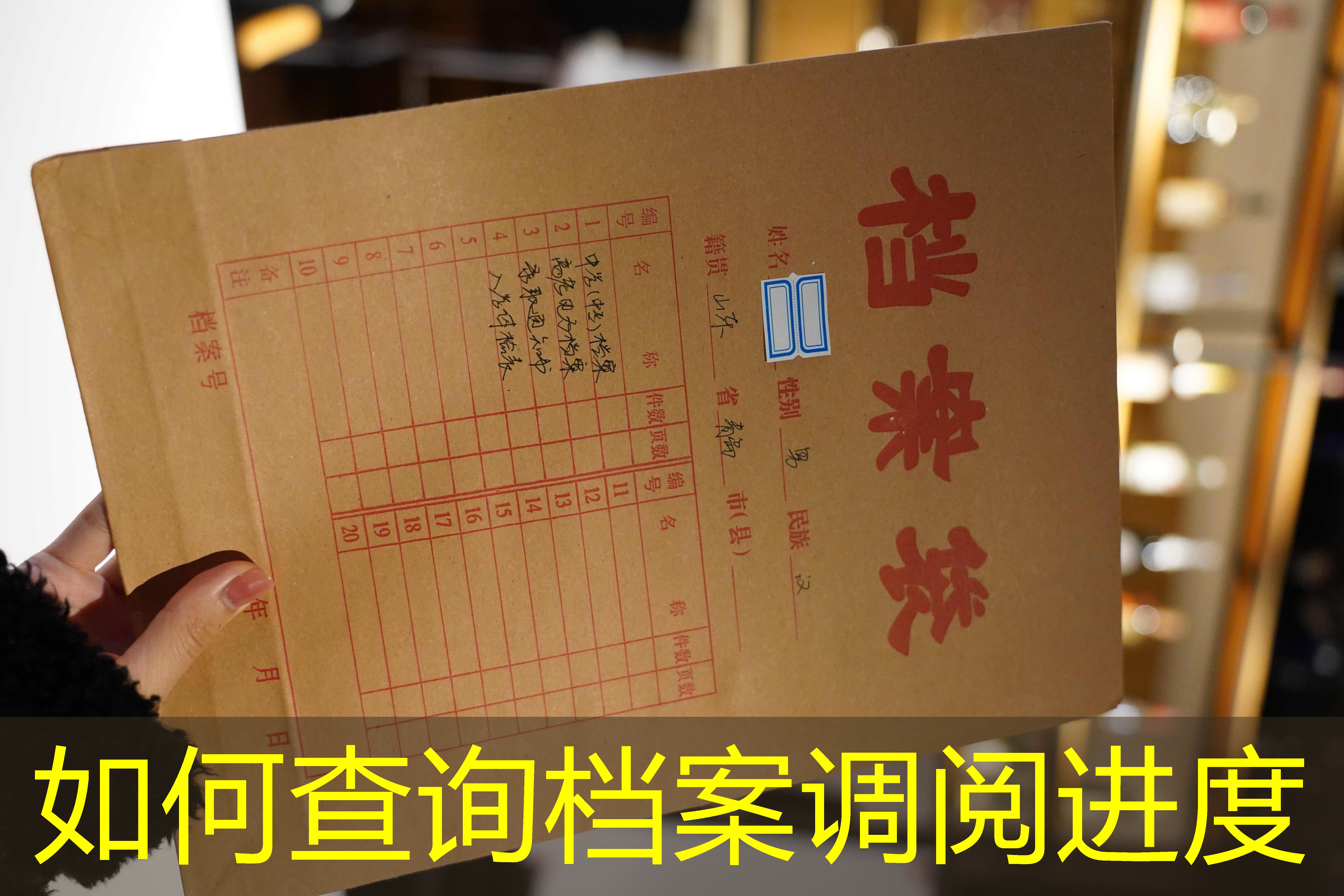 档案查询